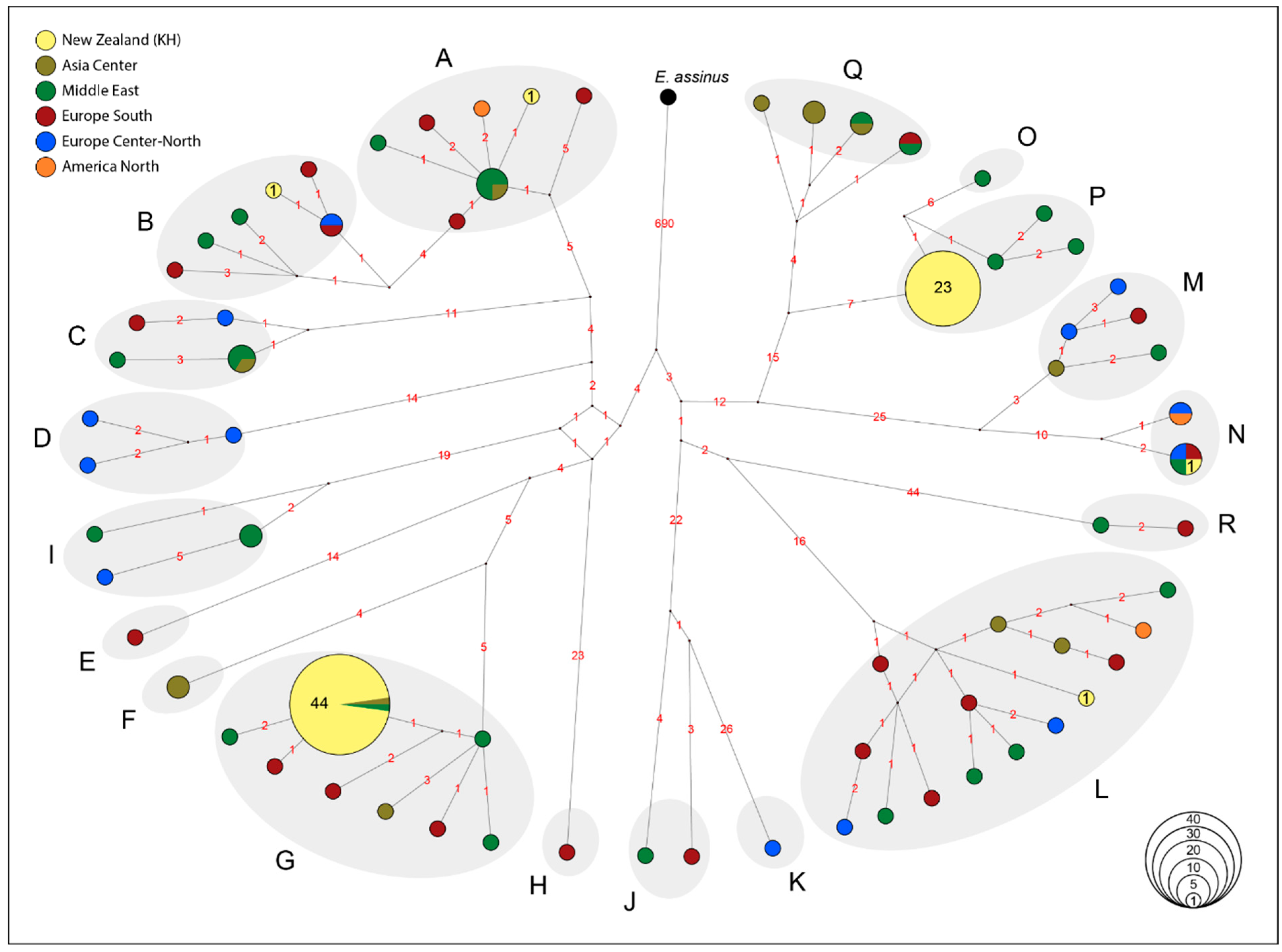 Animals 12 03508 g002 Animals 12 03508 g002
