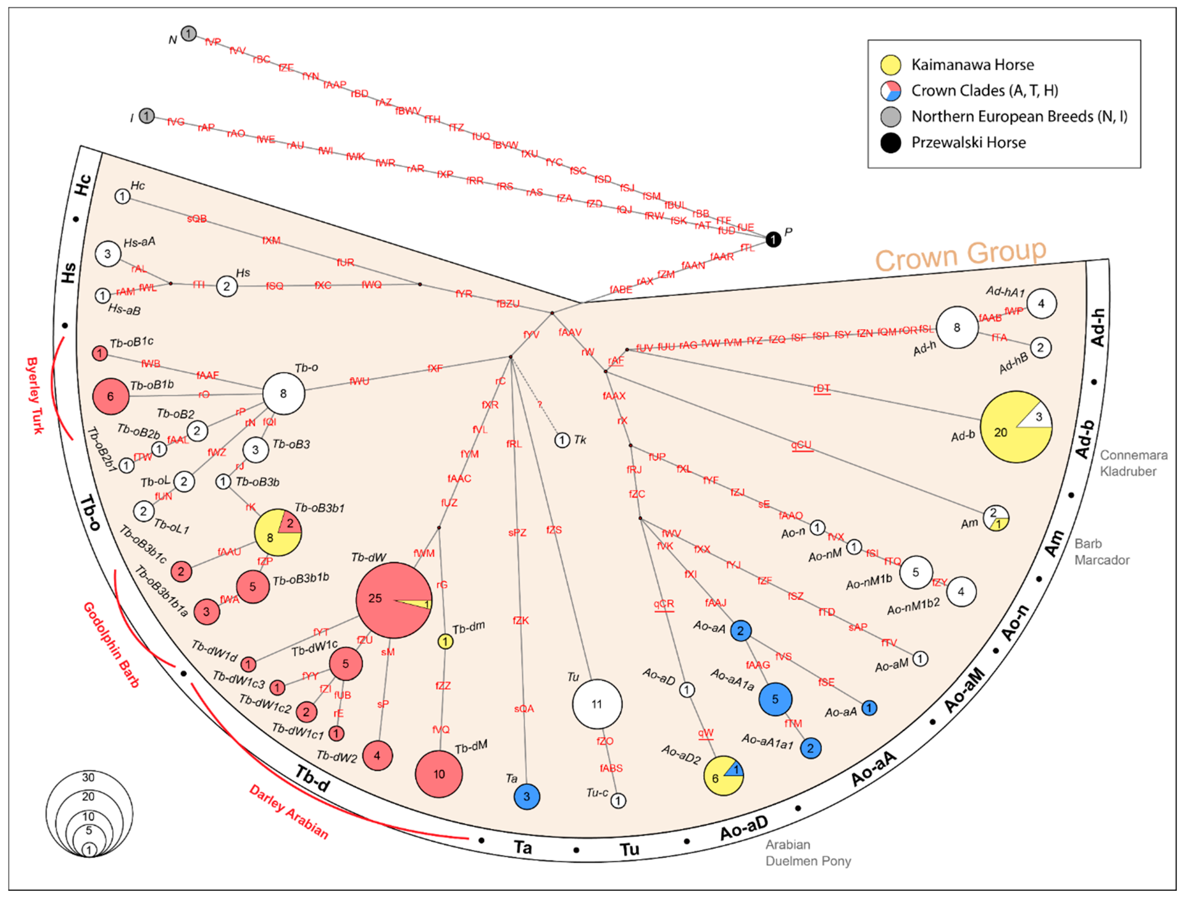 Animals 12 03508 g003 Animals 12 03508 g003
