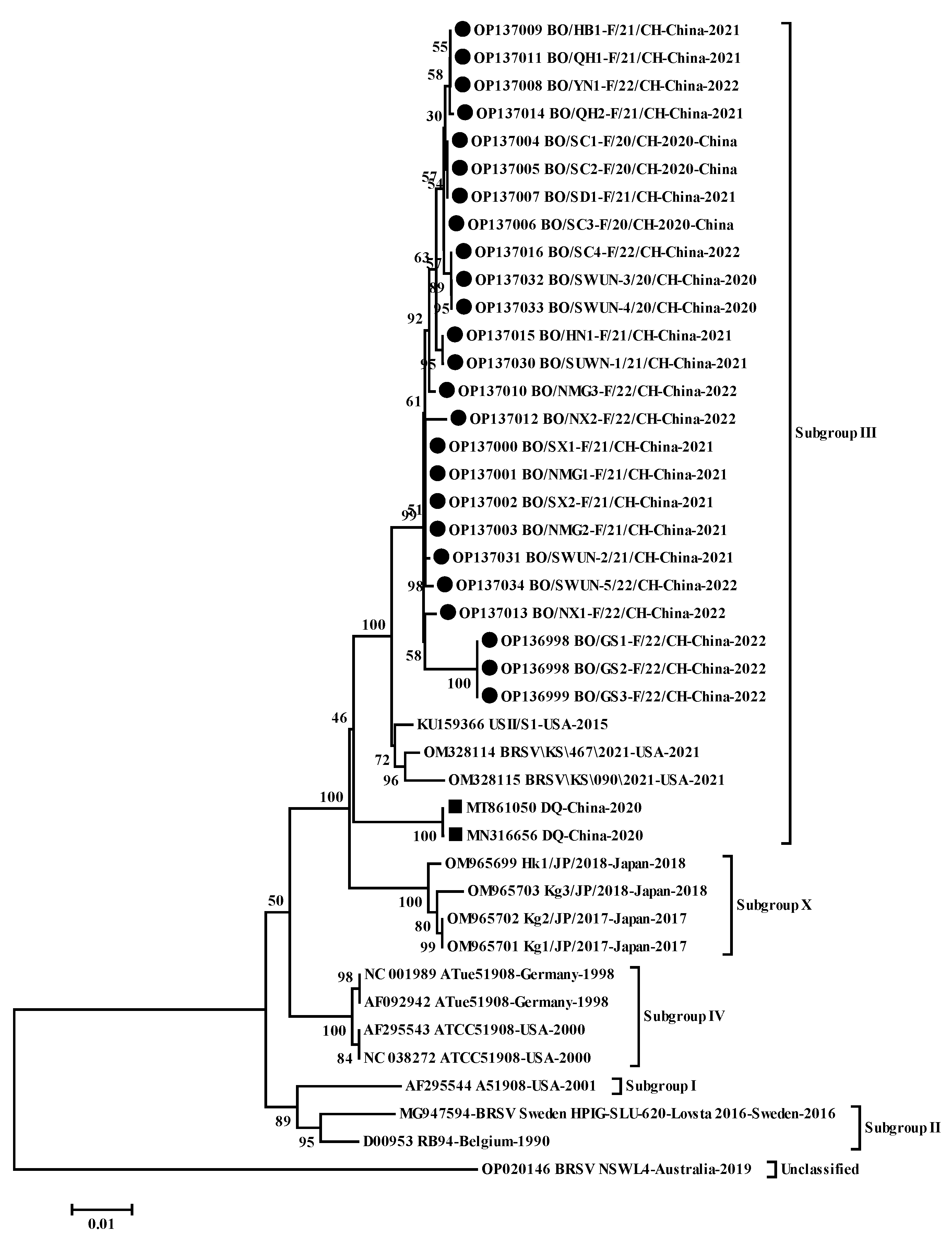 Animals 12 03511 g003 Animals 12 03511 g003