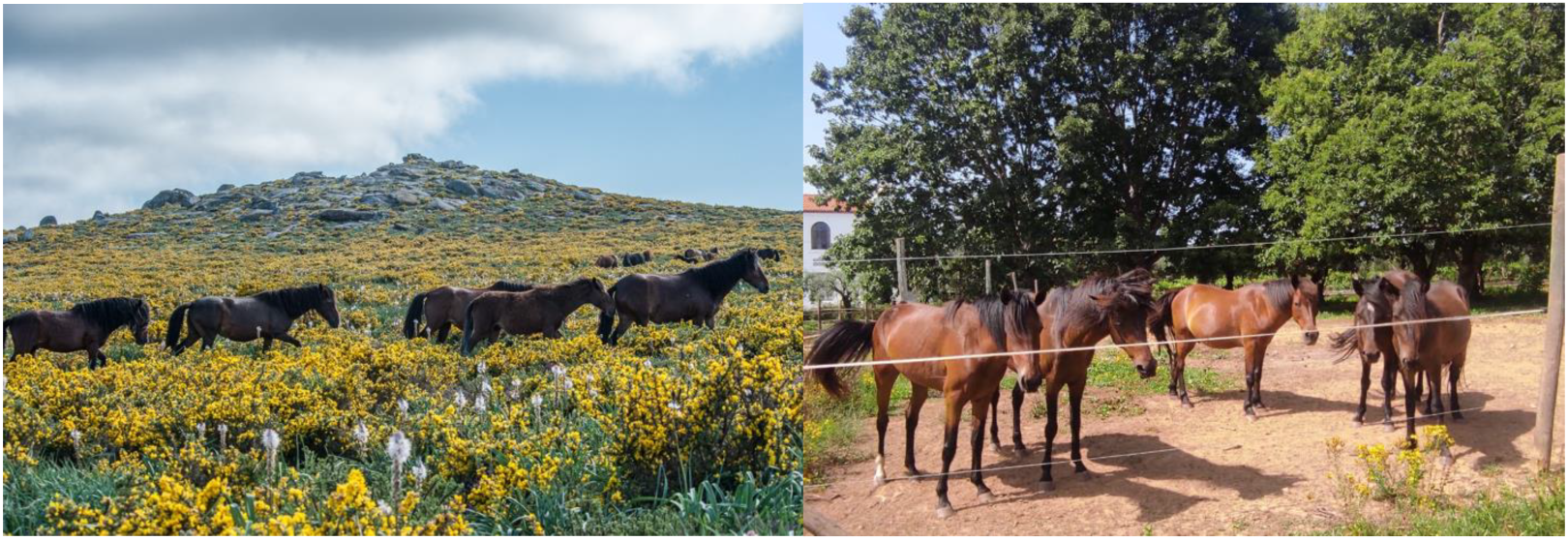 Animals 12 03514 g001