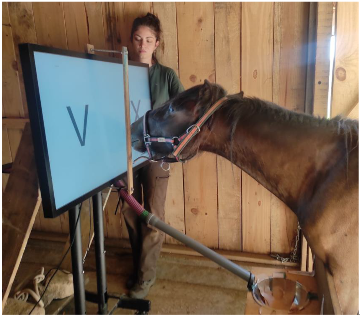 Animals 12 03514 g002