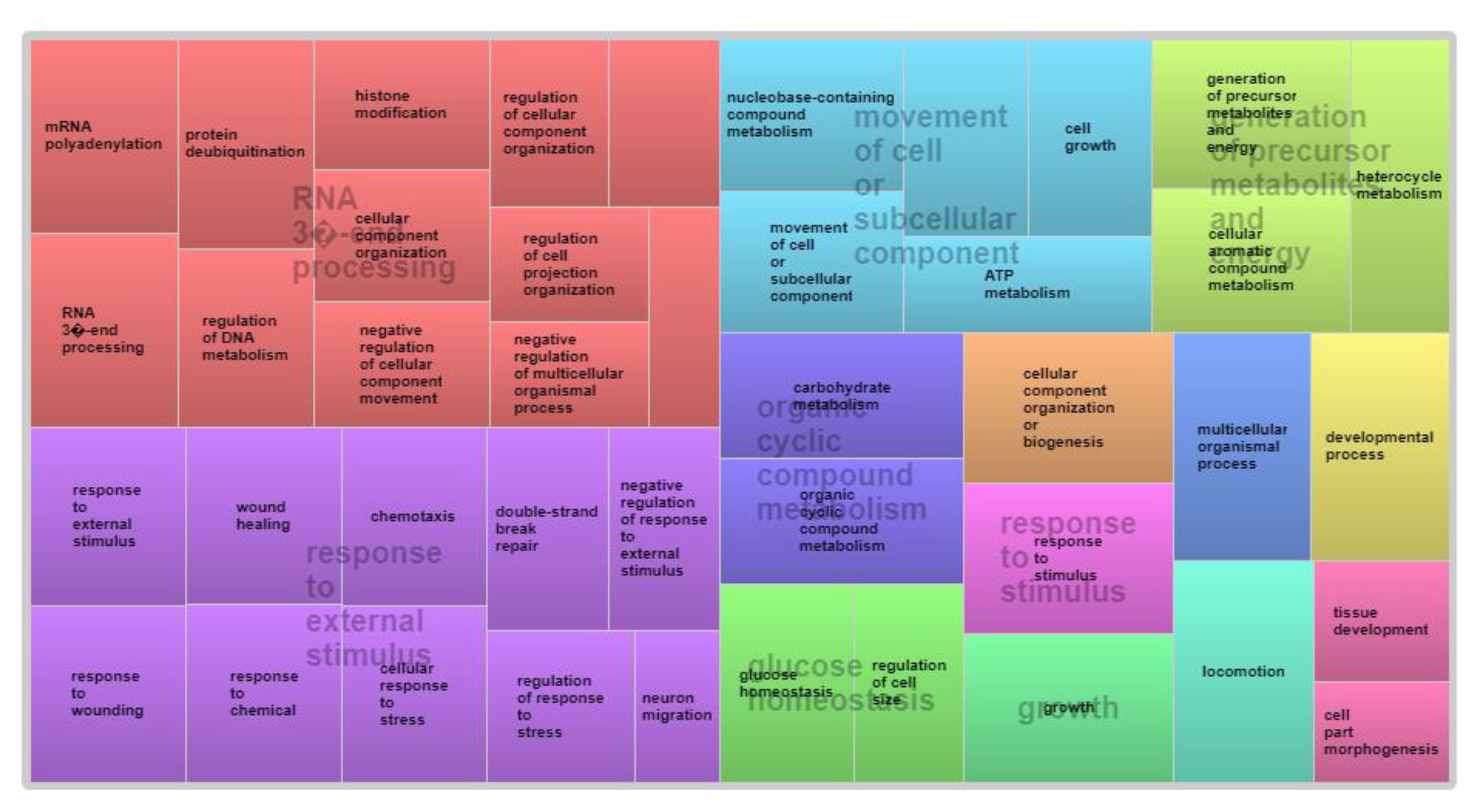 Animals 12 03526 g004 Animals 12 03526 g004