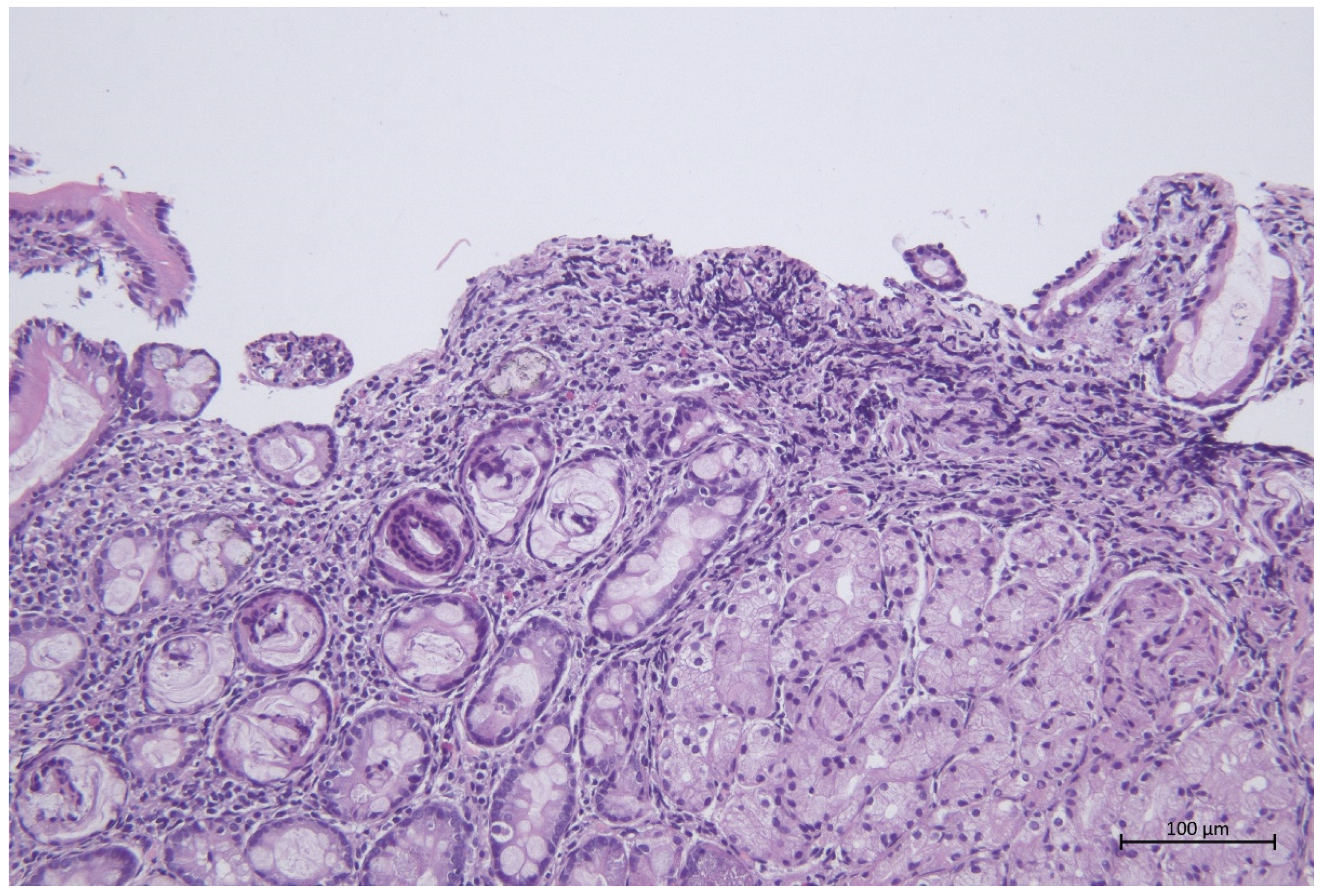 Animals 12 03527 g001 Animals 12 03527 g001