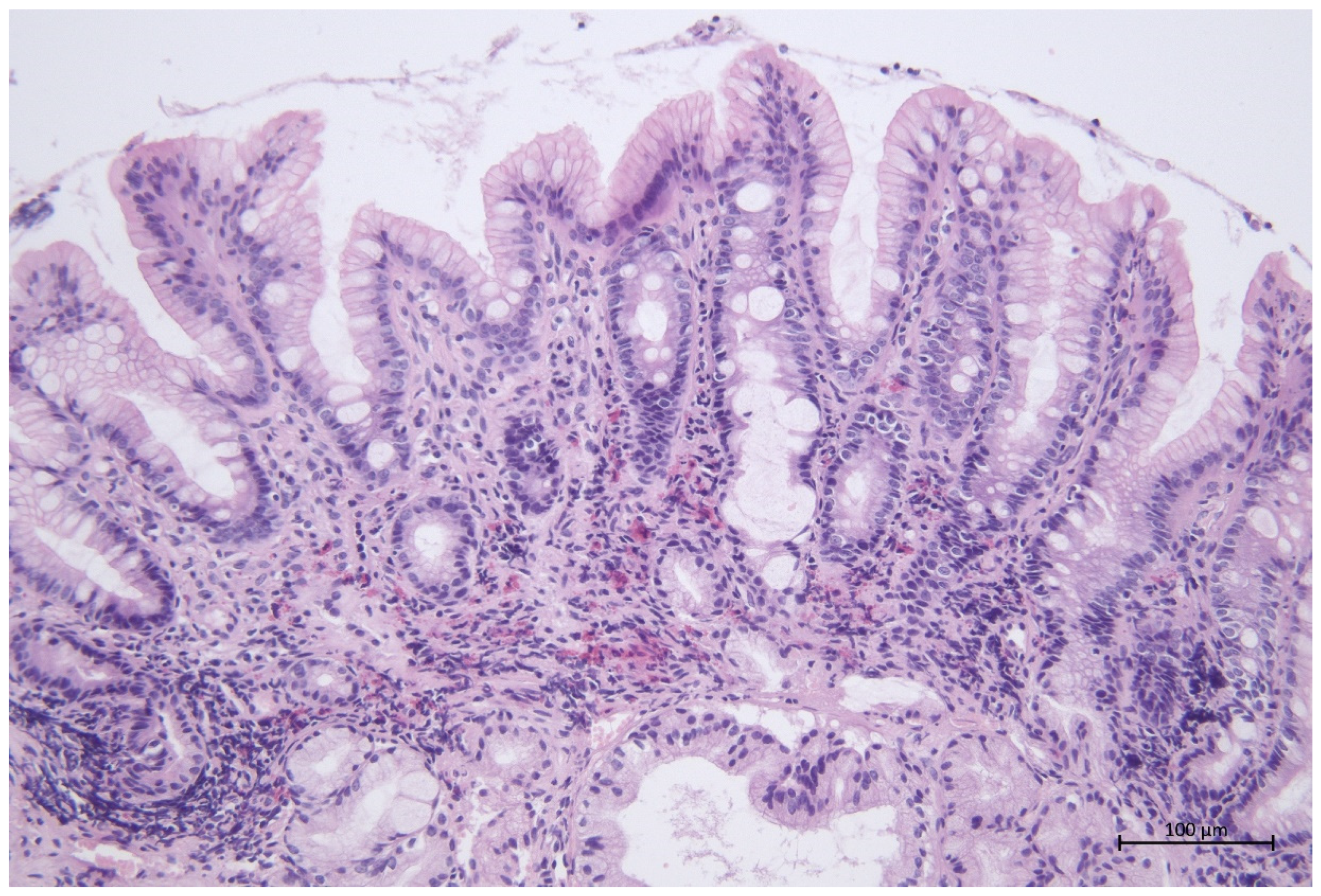 Animals 12 03527 g003 Animals 12 03527 g003