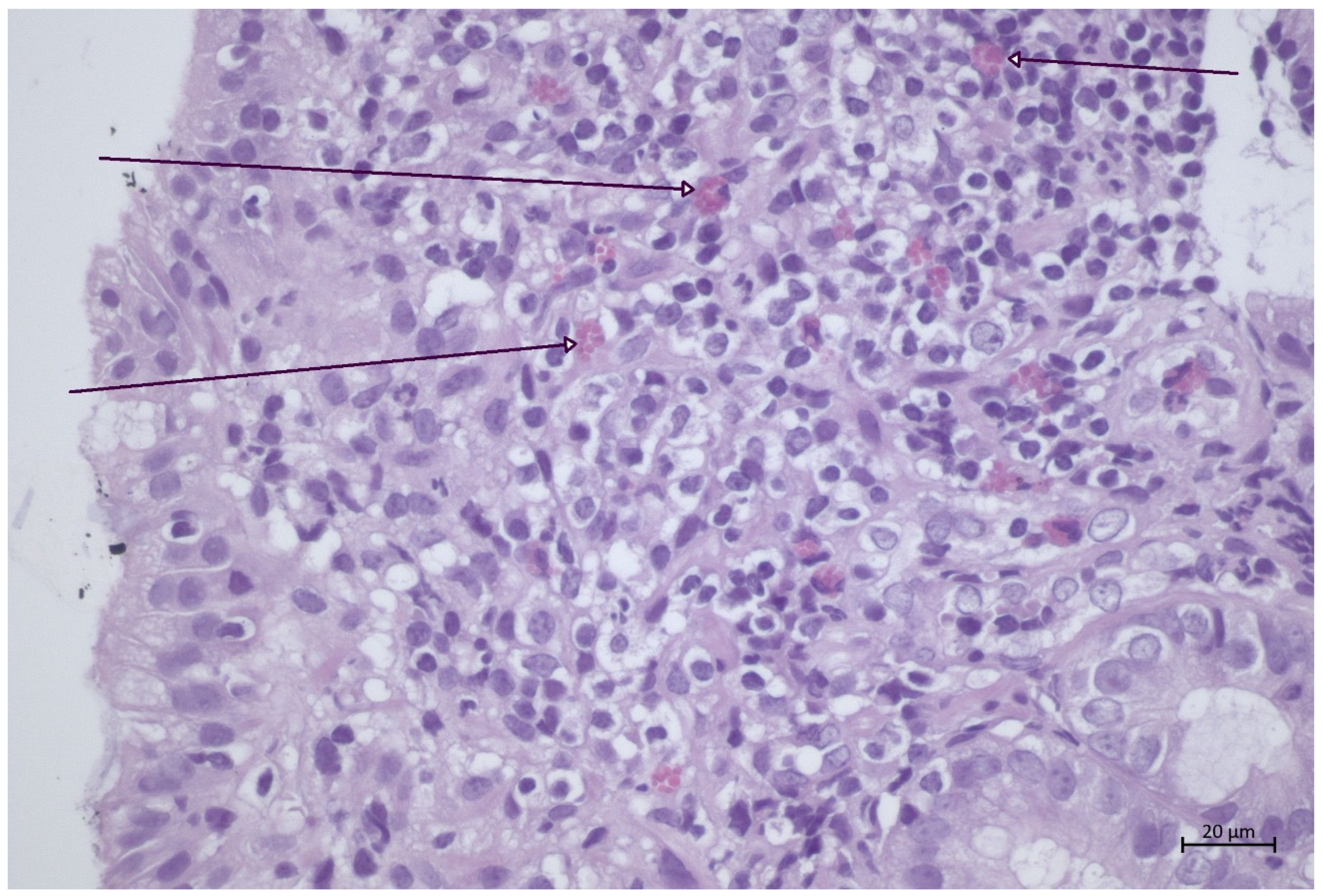 Animals 12 03527 g005 Animals 12 03527 g005