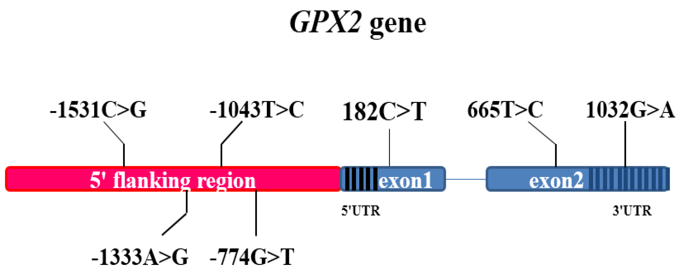 Animals 12 03528 g001a Animals 12 03528 g001a