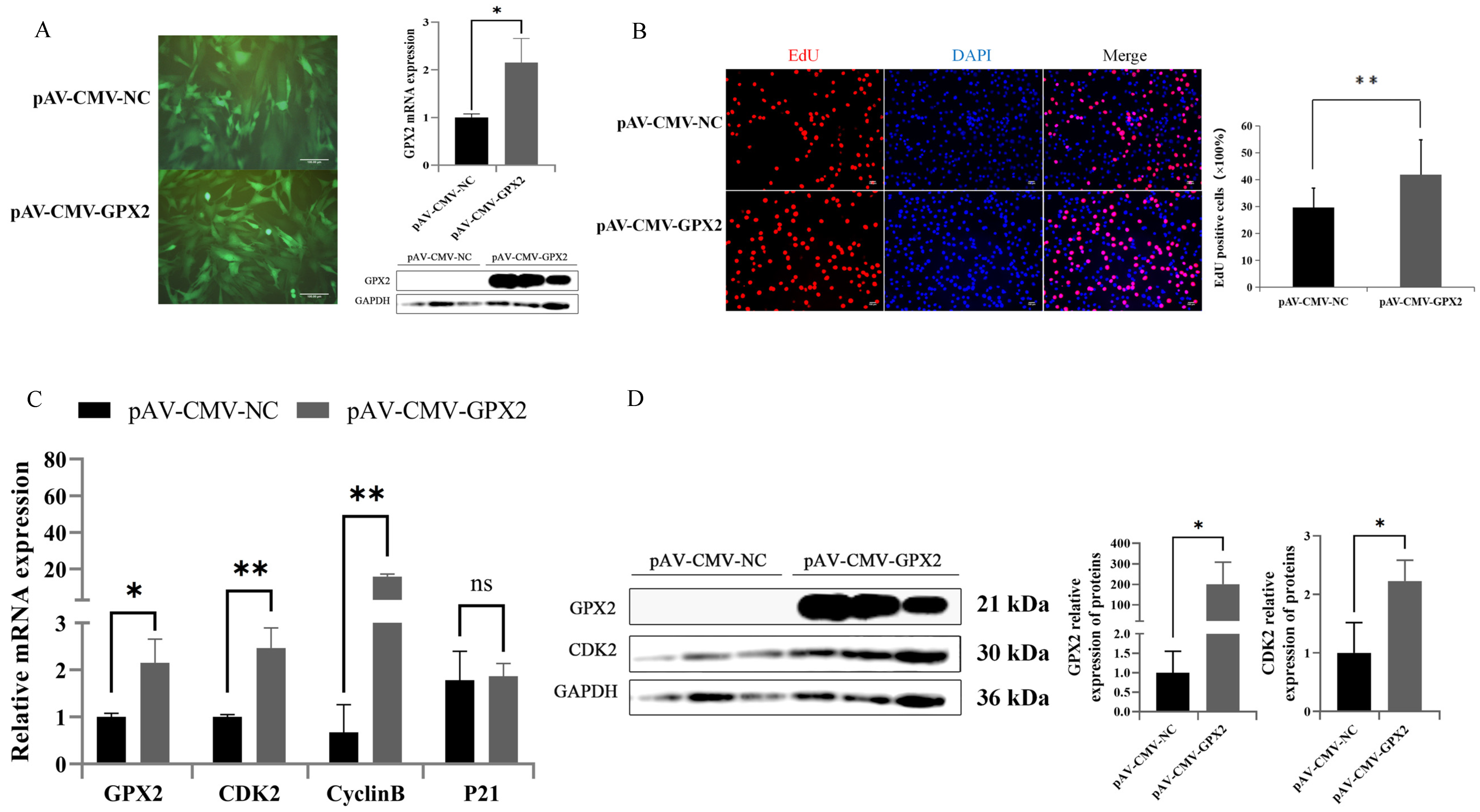 Animals 12 03528 g006 Animals 12 03528 g006