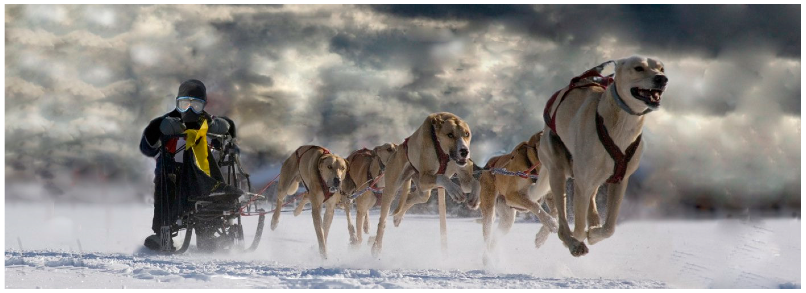 Animals 12 03530 g001