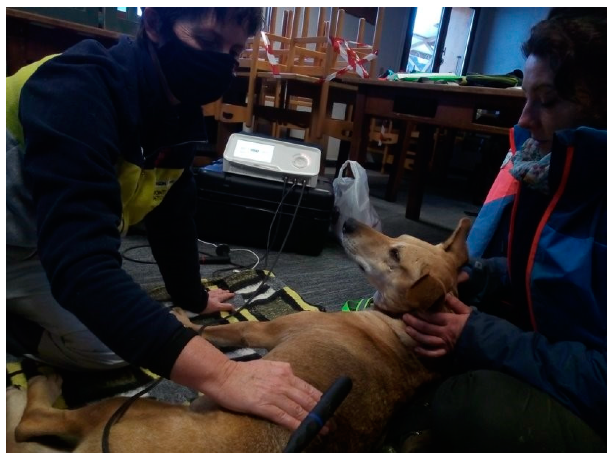 Animals 12 03530 g003