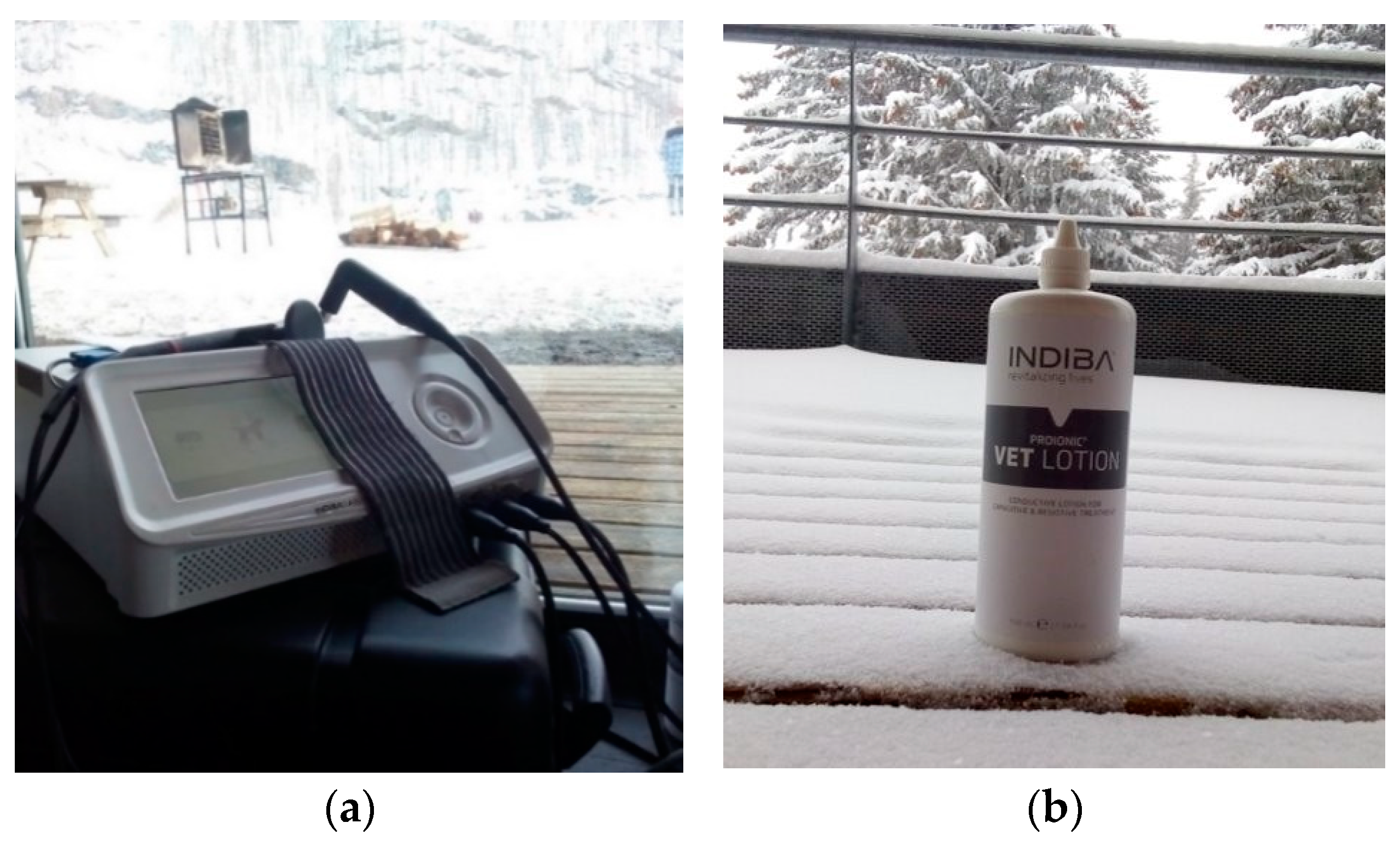 Animals 12 03530 g004