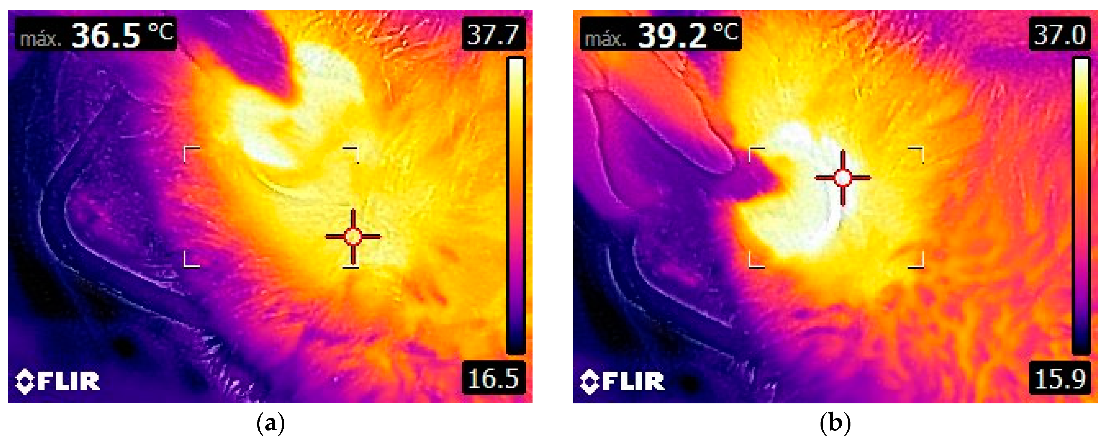 Animals 12 03530 g005