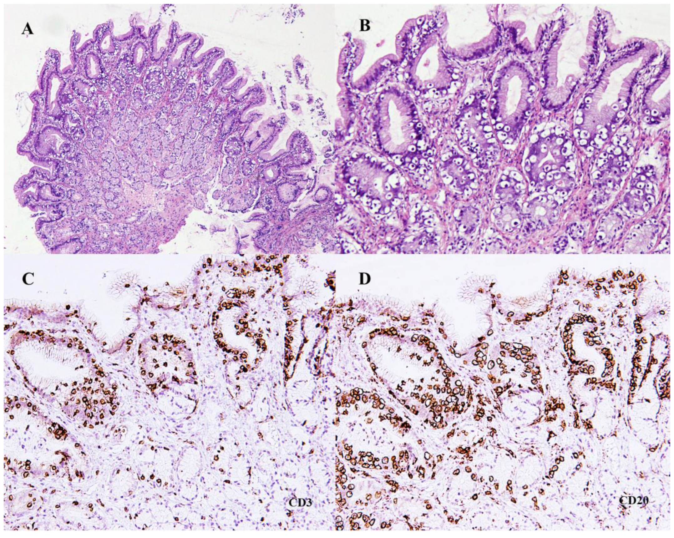 Animals 12 03531 g001