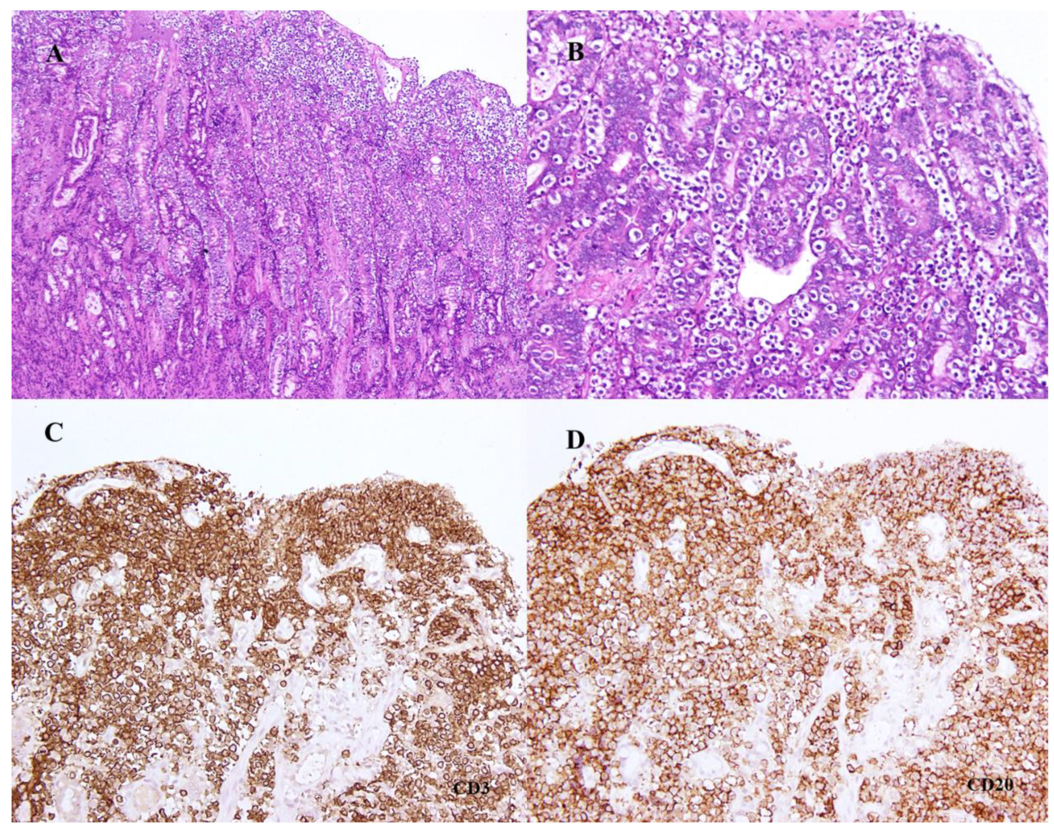 Animals 12 03531 g002