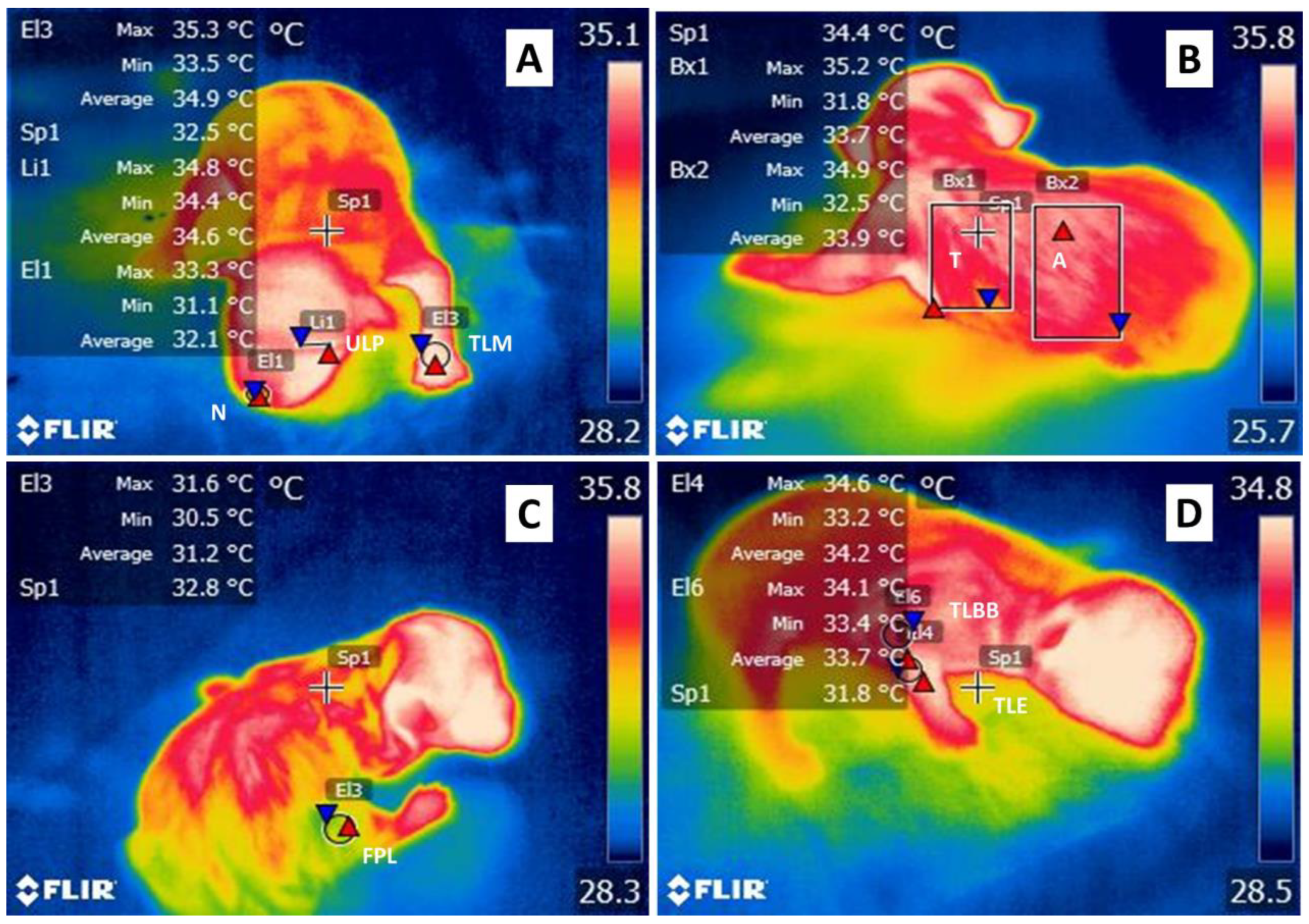 Animals 12 03536 g001