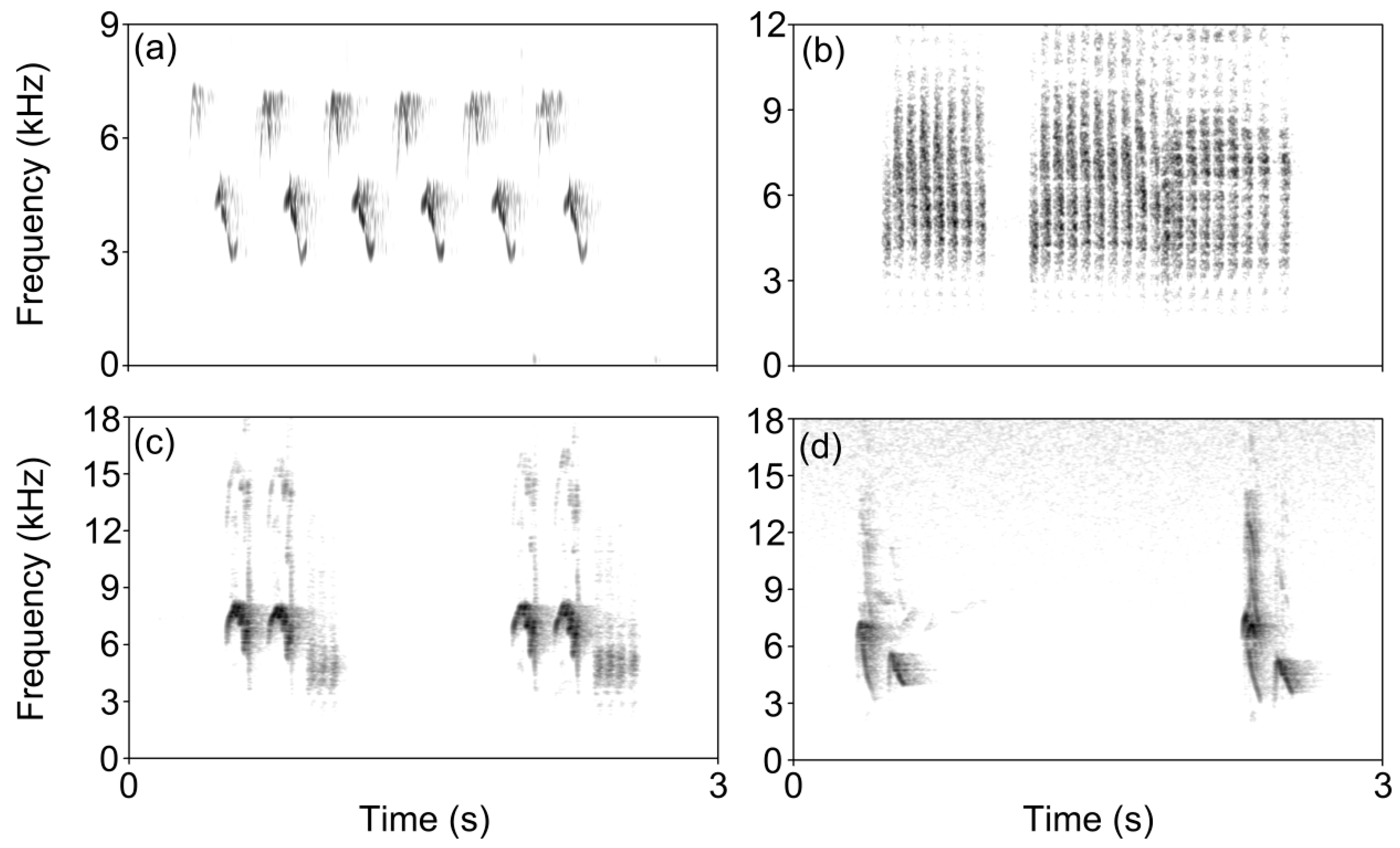 Animals 12 03537 g001