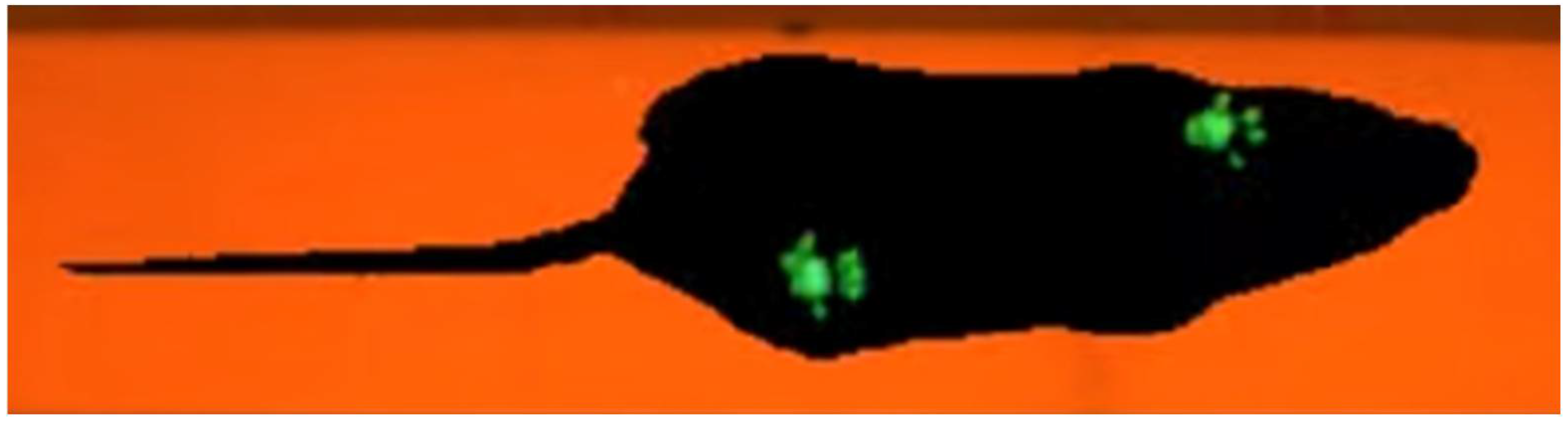 Animals 12 03545 g002 Animals 12 03545 g002