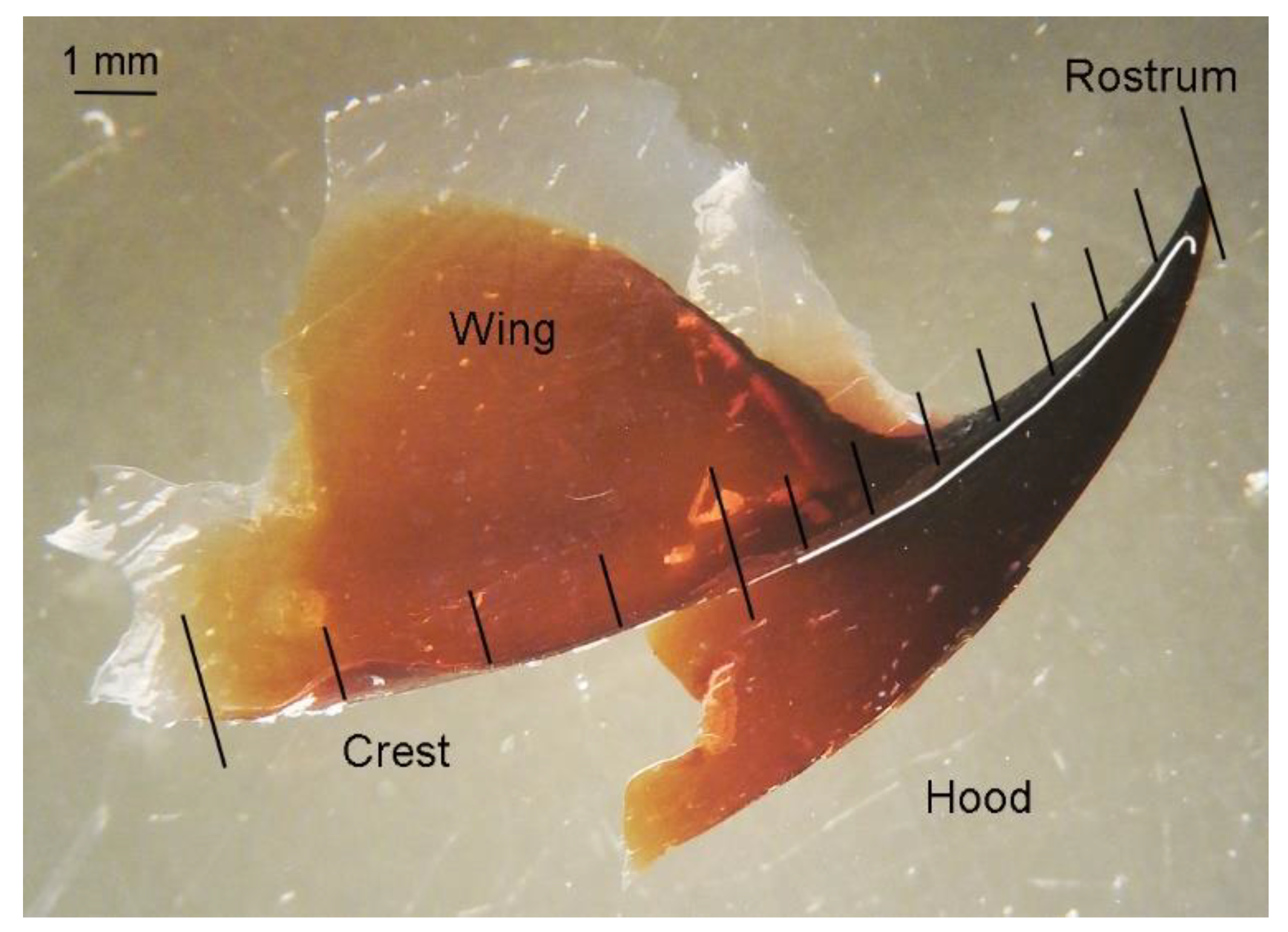 Animals 12 03548 g002