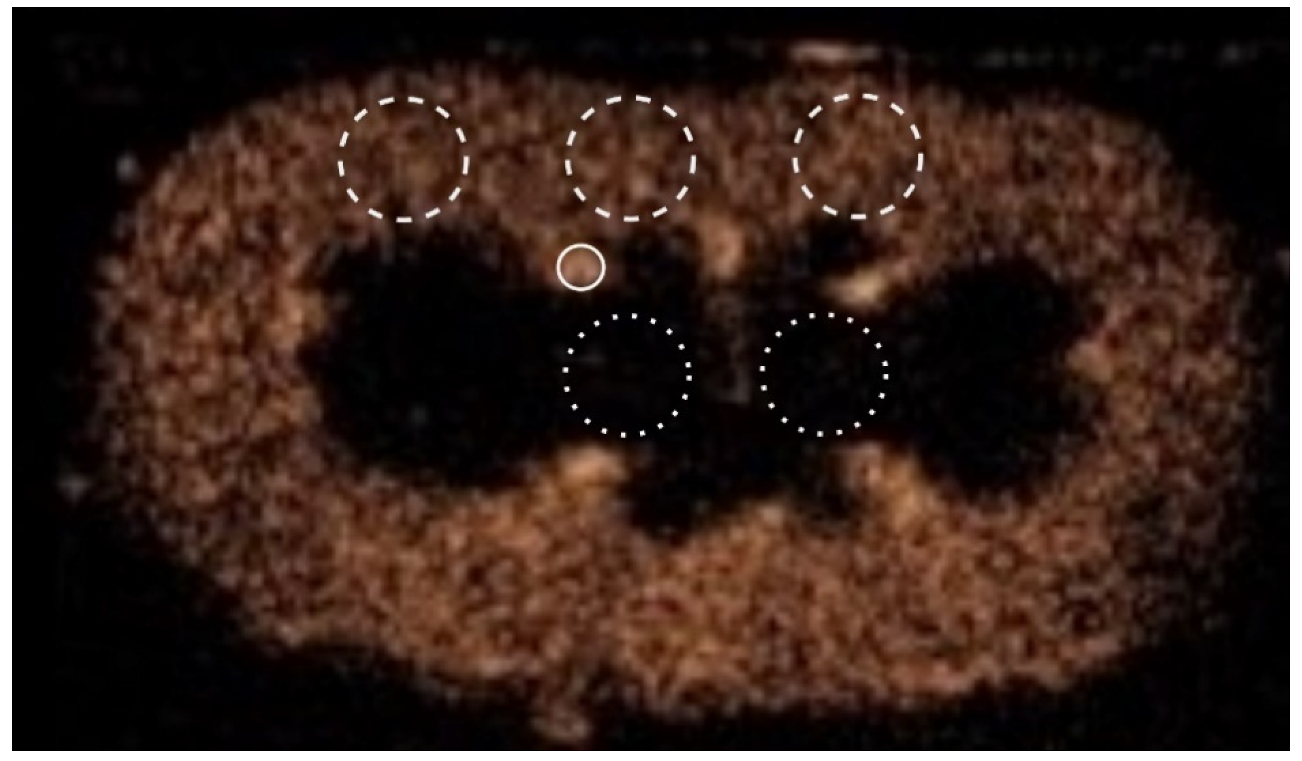 Animals 12 03557 g001