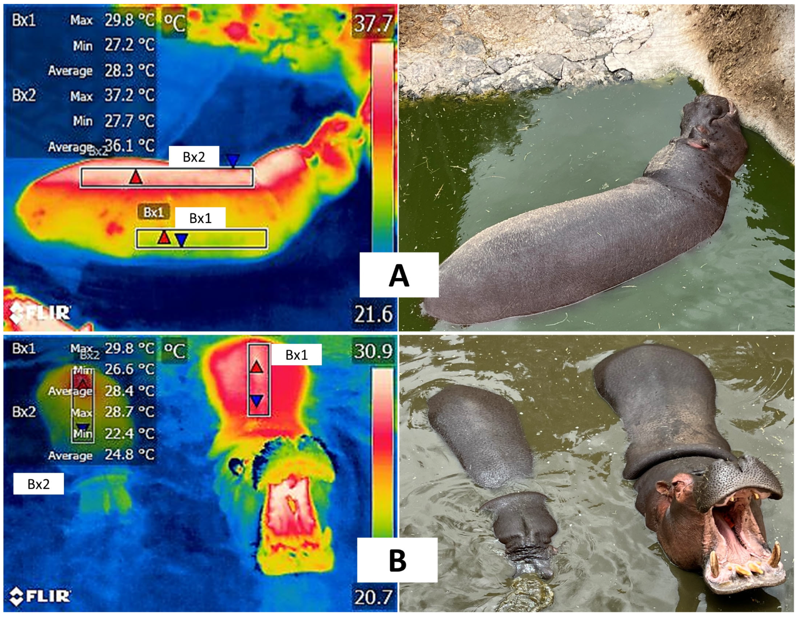 Animals 12 03558 g009