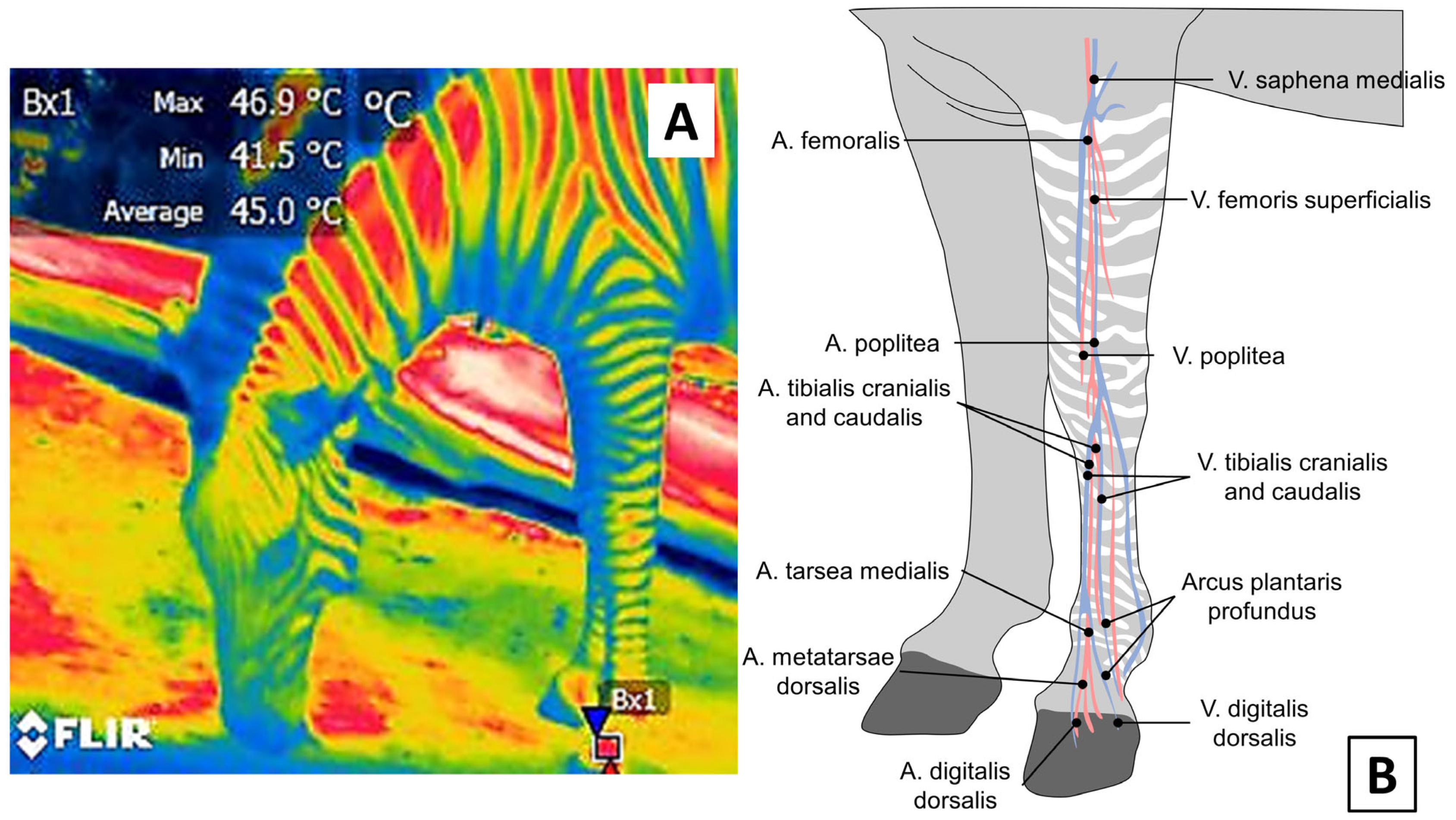 Animals 12 03558 g010