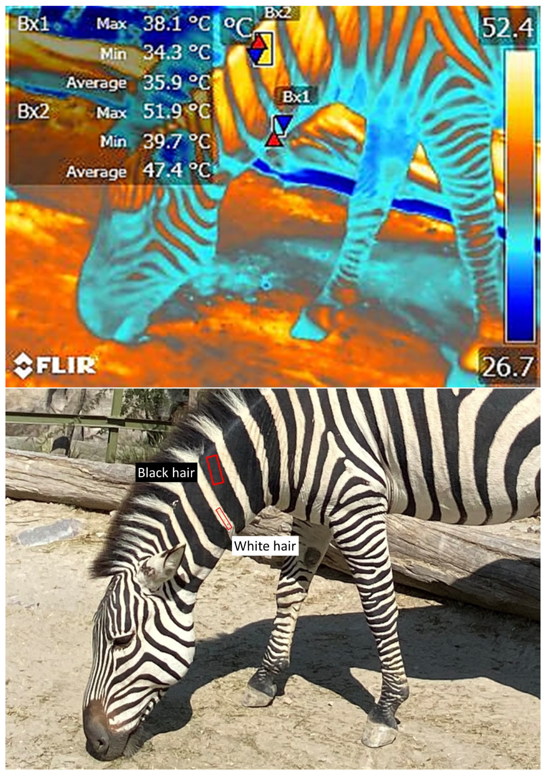 Animals 12 03558 g011