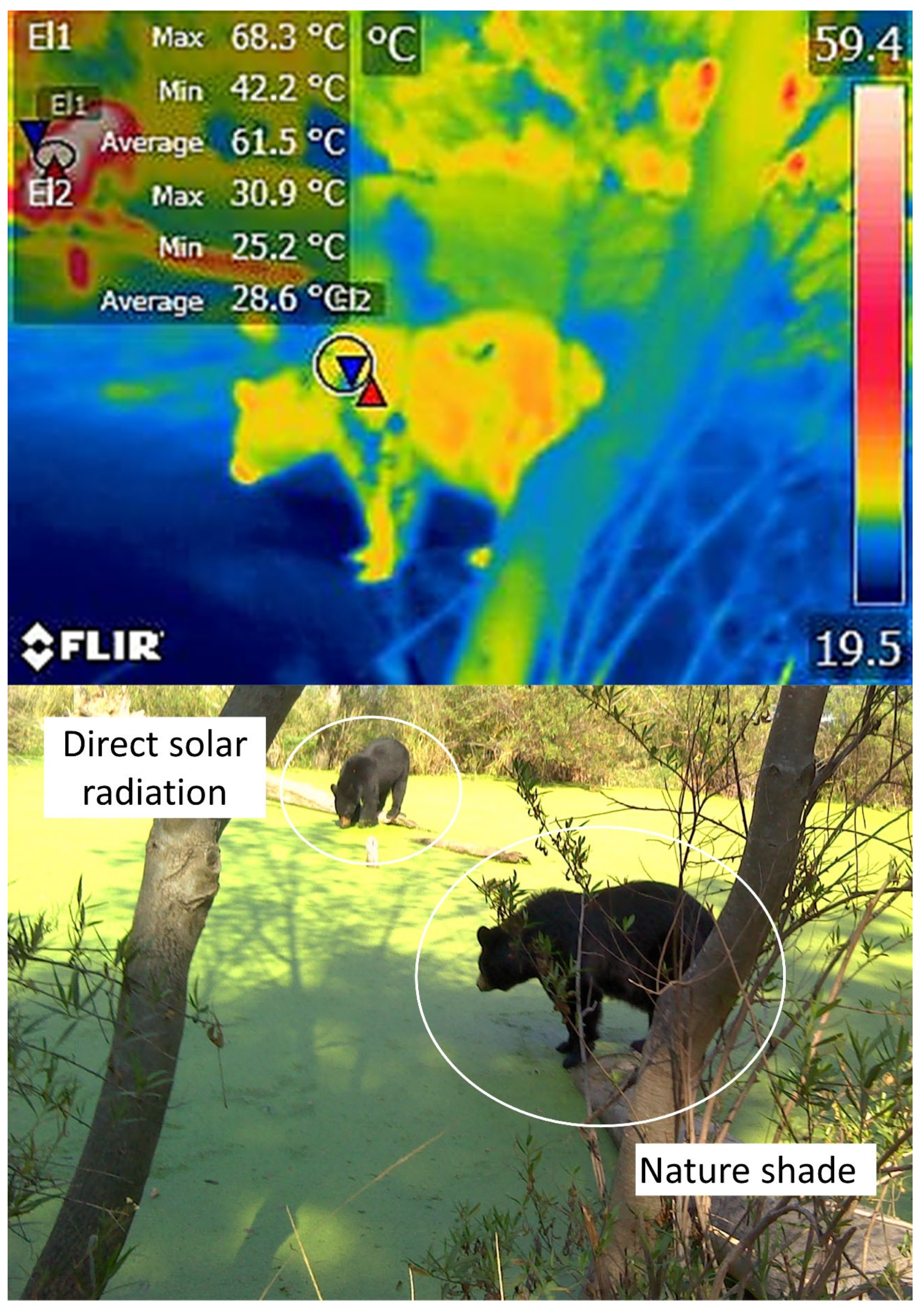 Animals 12 03558 g013