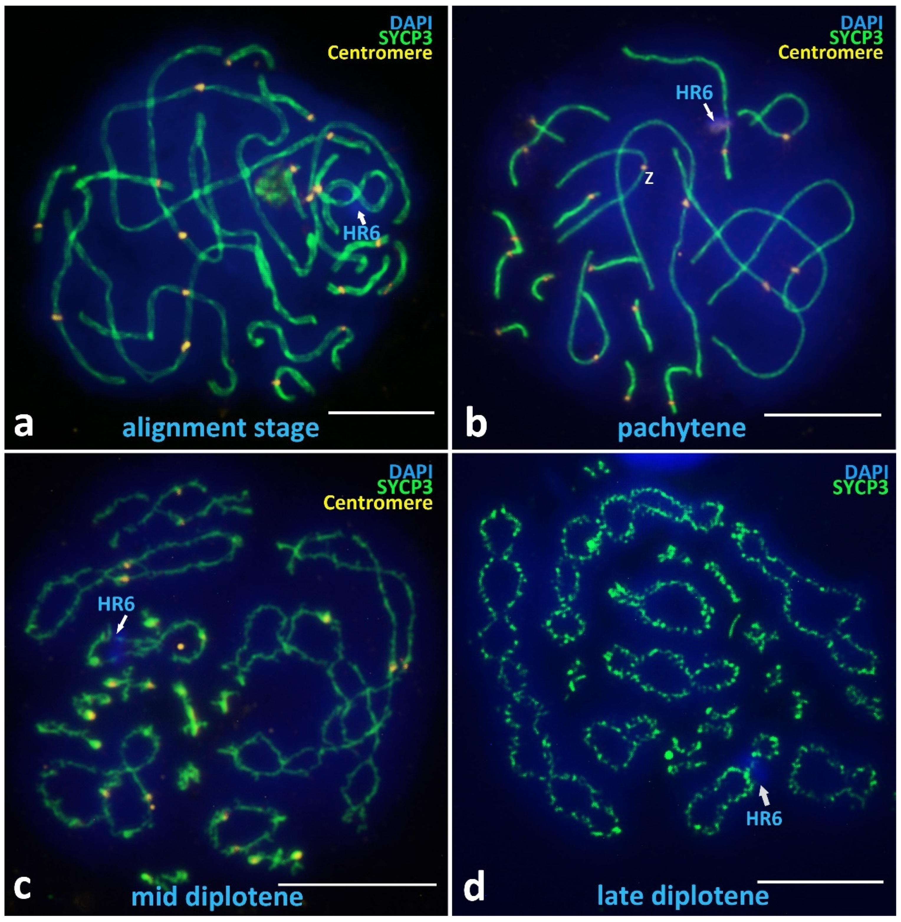 Animals 12 03563 g004 Animals 12 03563 g004