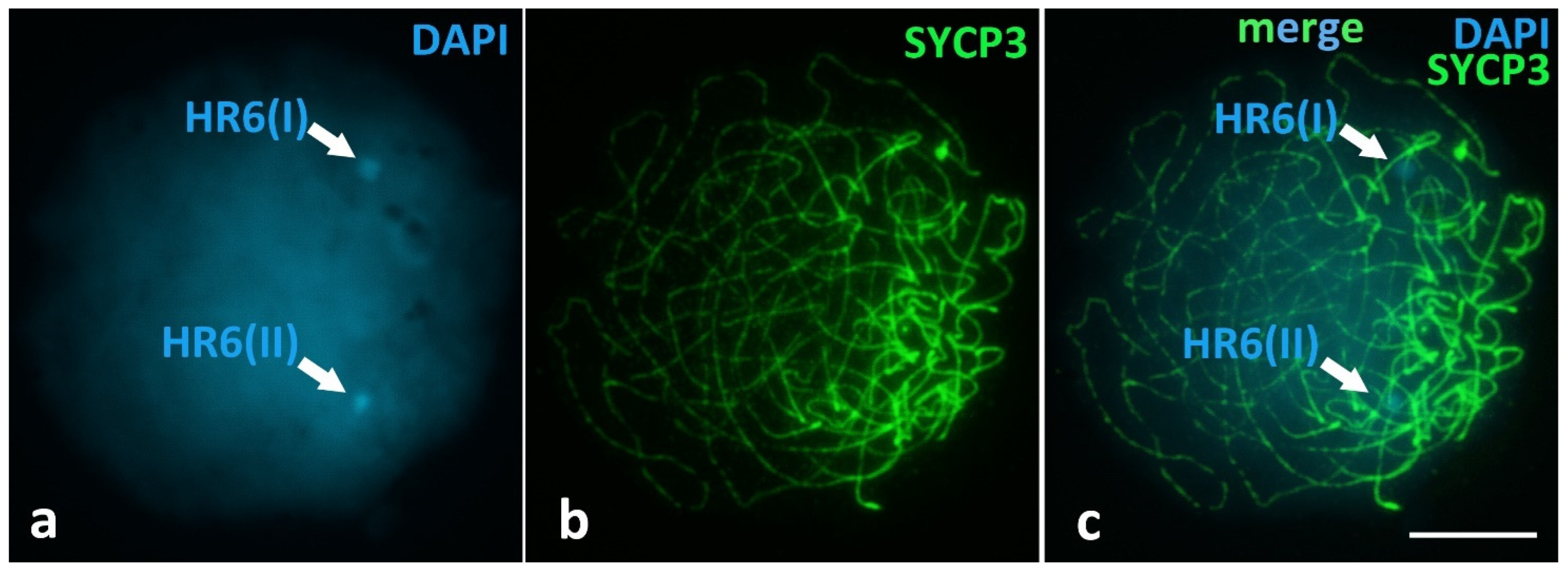 Animals 12 03563 g0a1 Animals 12 03563 g0a1