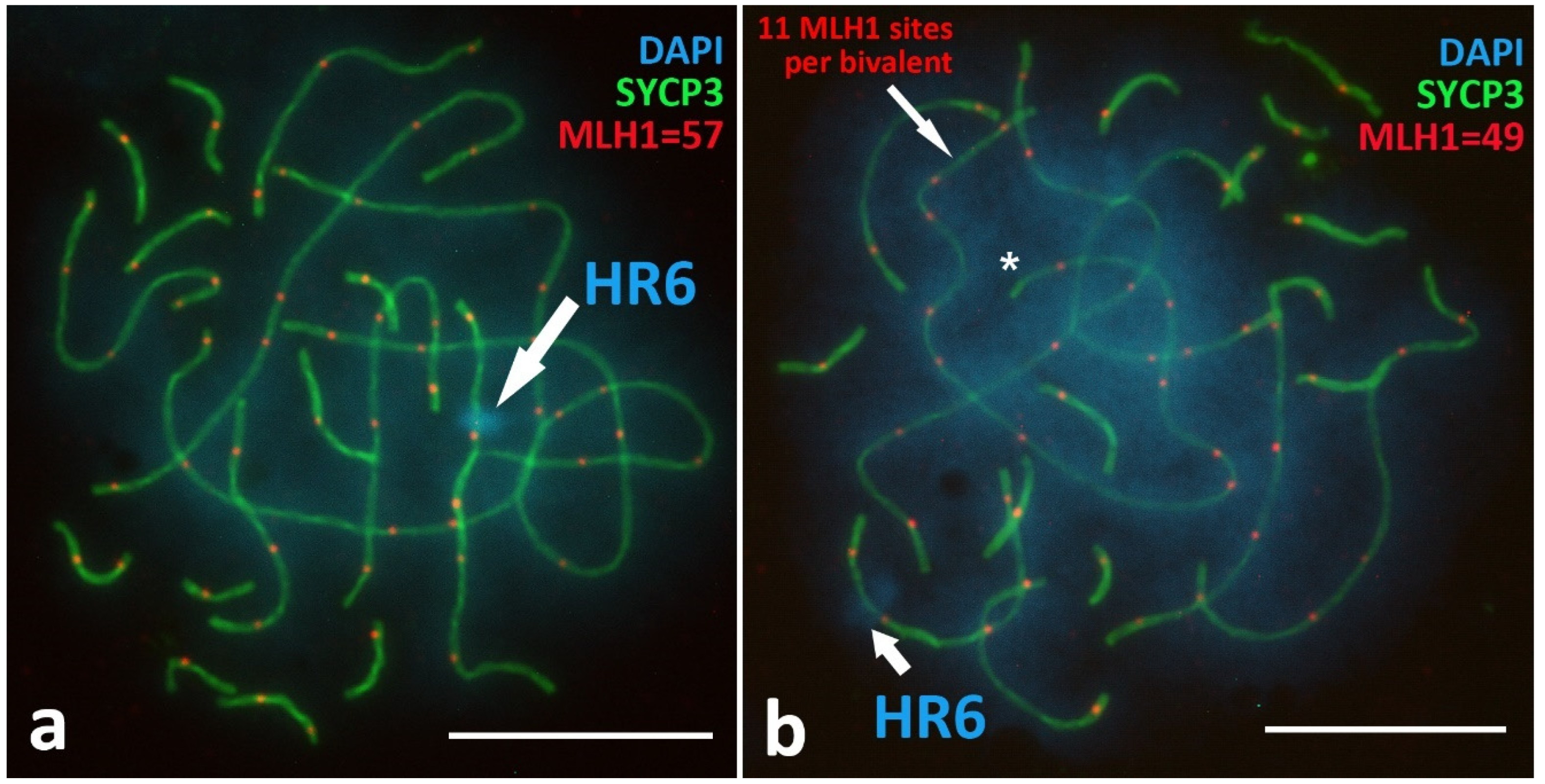 Animals 12 03563 g0a3 Animals 12 03563 g0a3