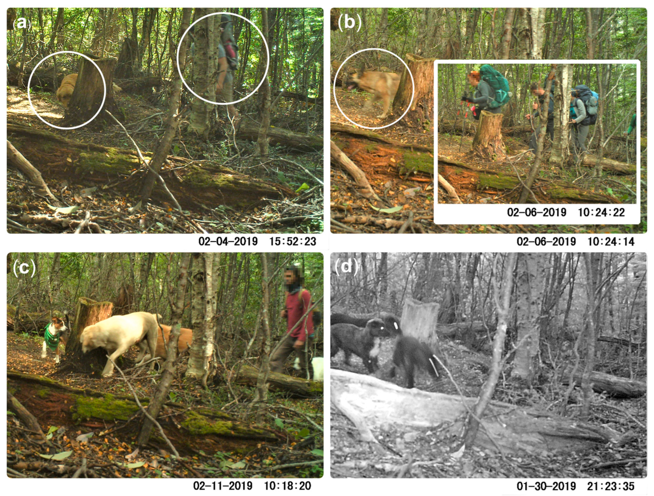 Animals 12 03564 g004 Animals 12 03564 g004