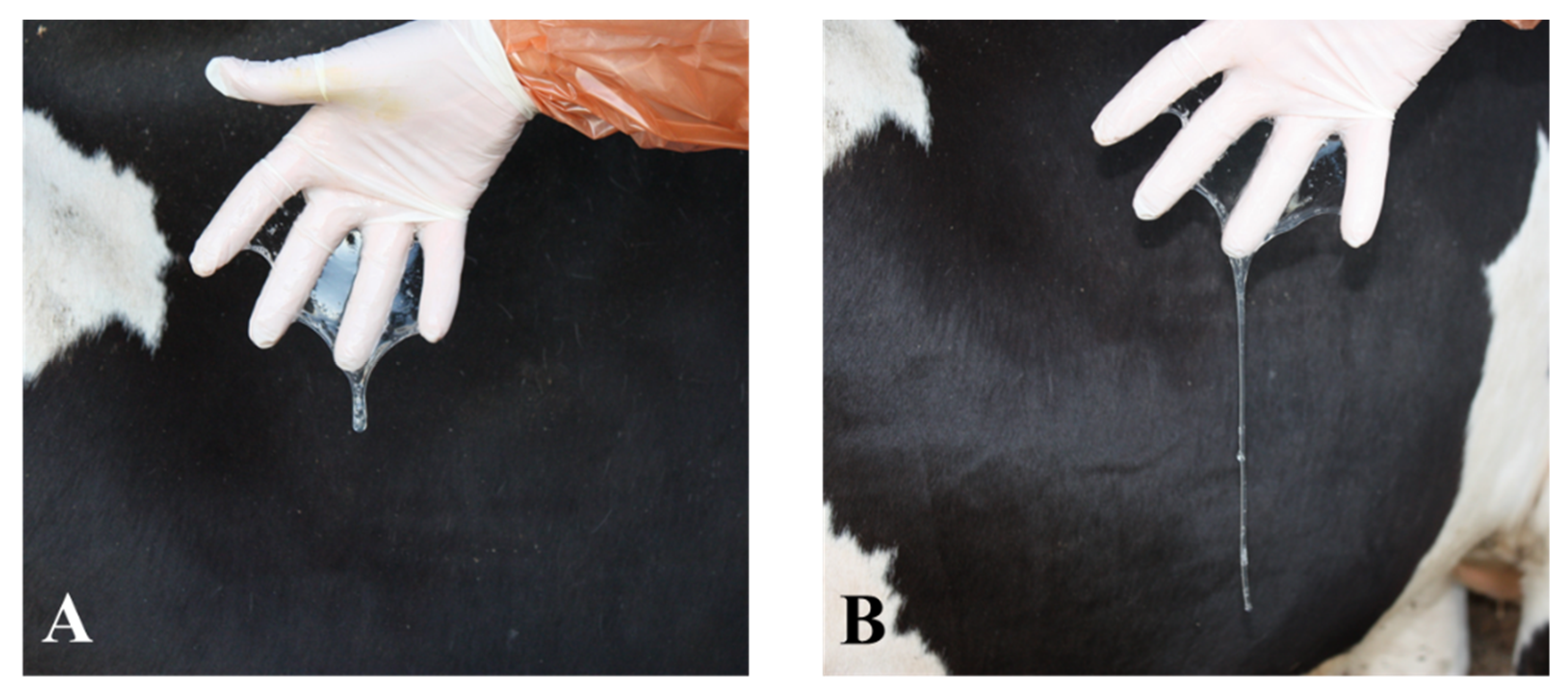 Animals 12 03565 g001 Animals 12 03565 g001