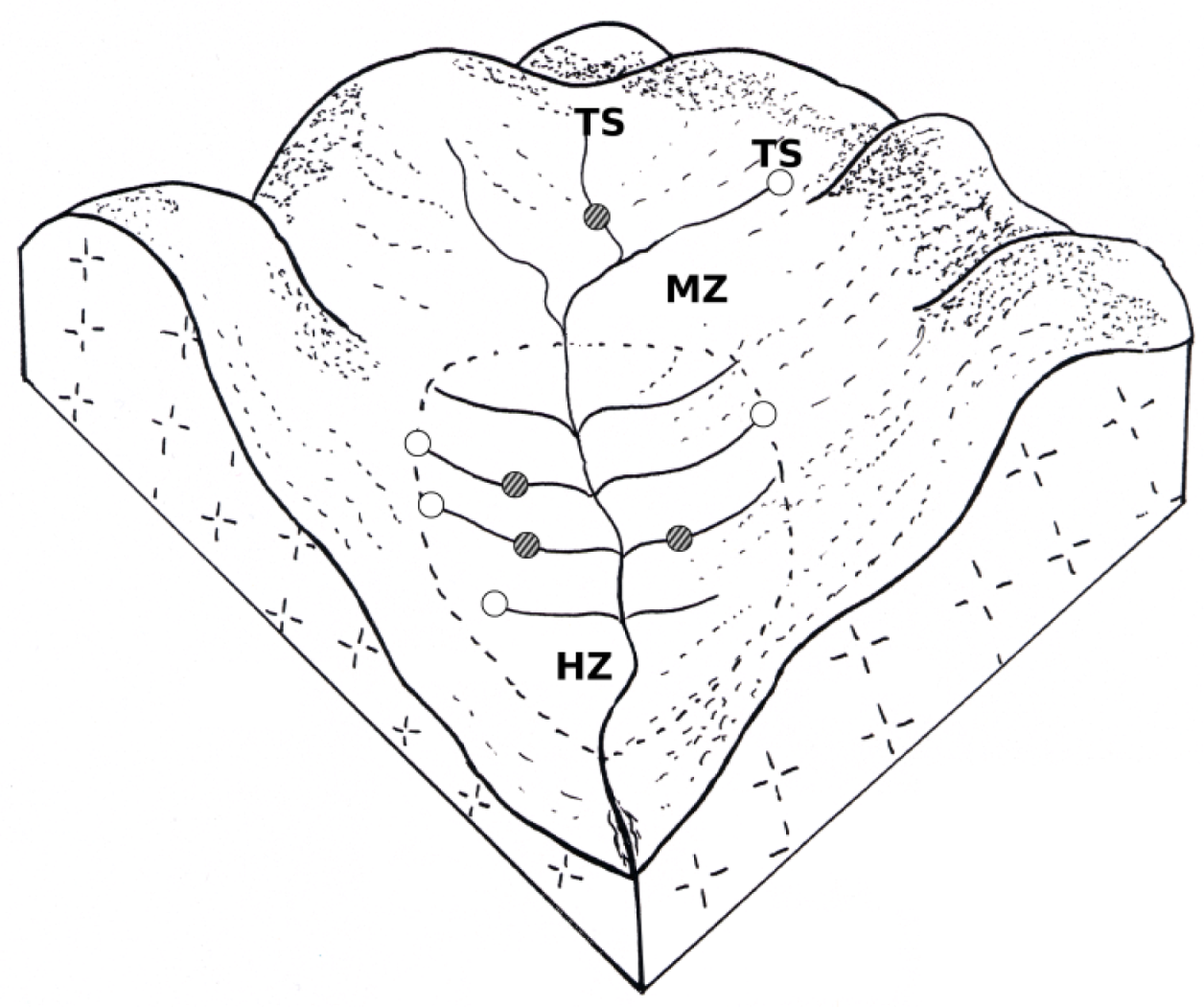 Animals 12 03566 g002