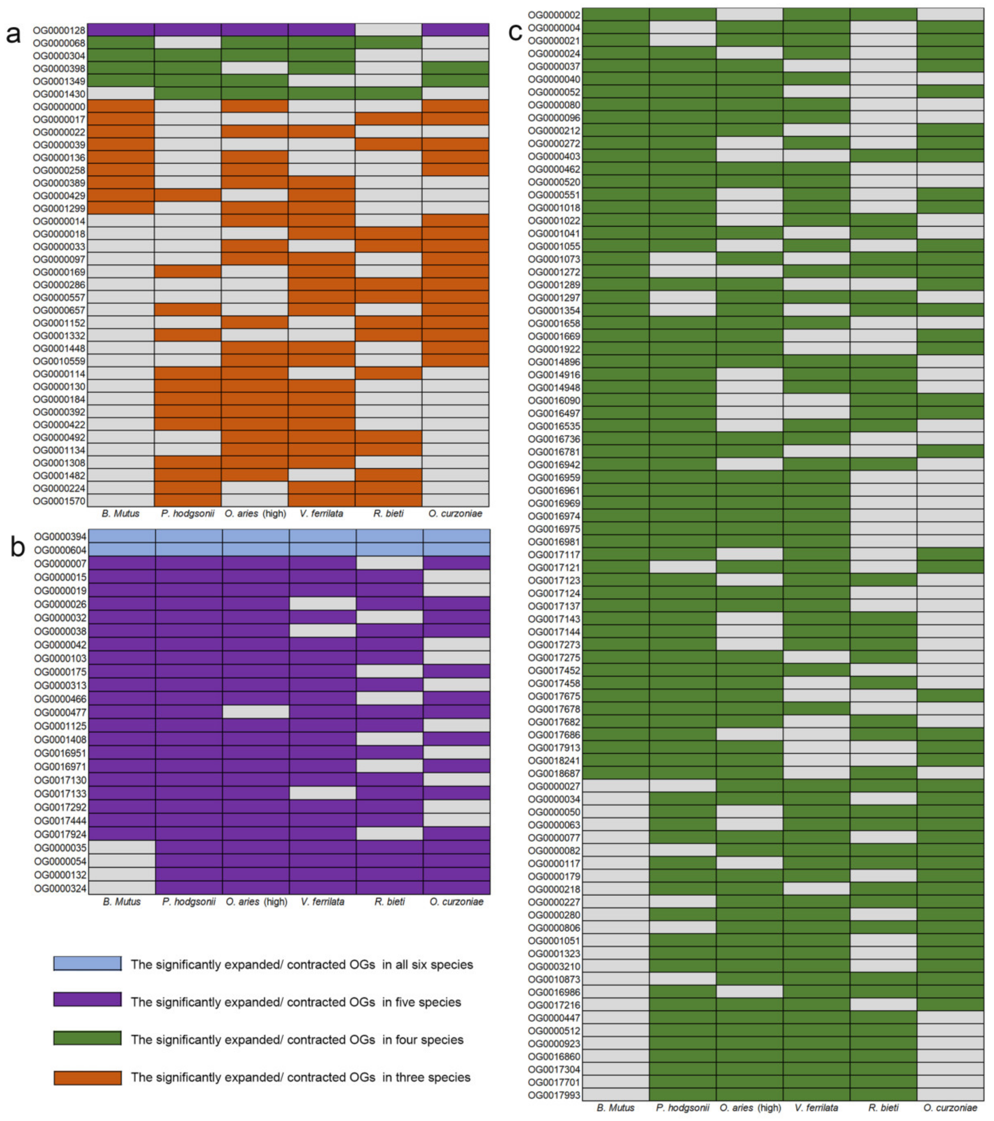 Animals 12 03572 g003 Animals 12 03572 g003