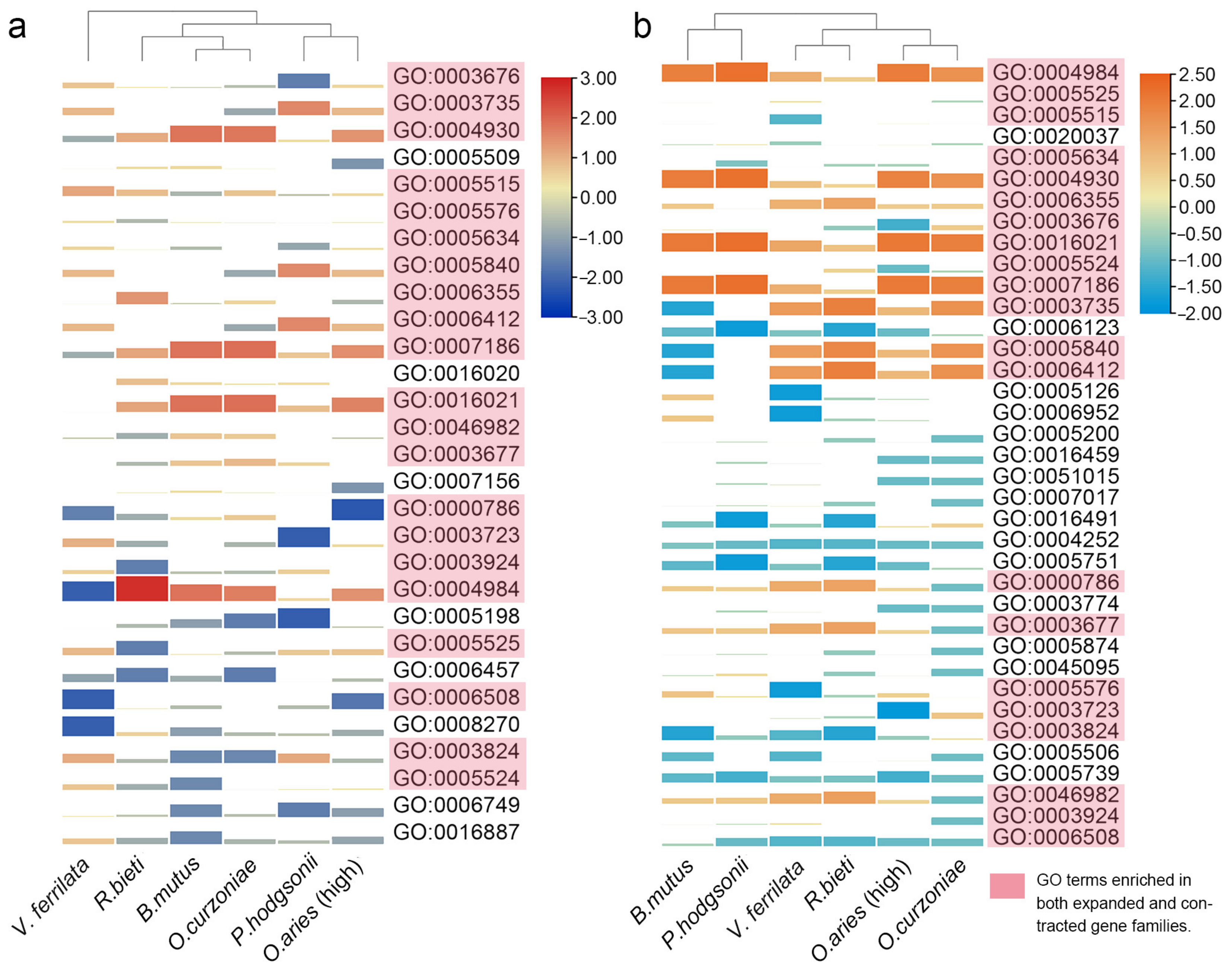 Animals 12 03572 g004 Animals 12 03572 g004