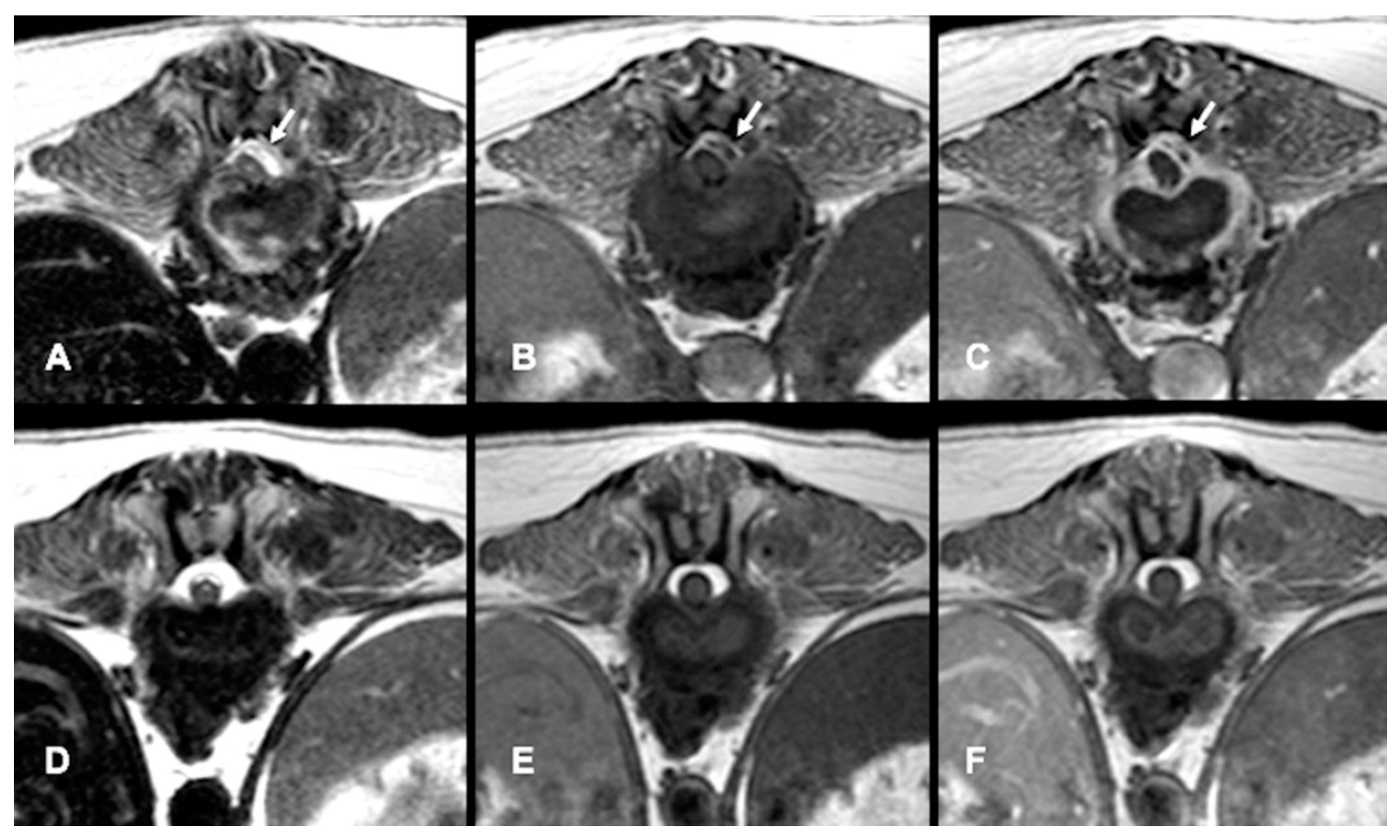 Animals 12 03573 g001