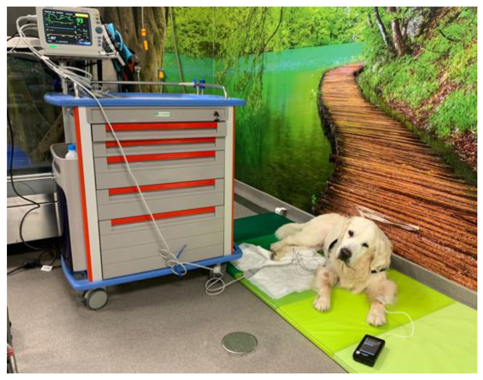 Animals 12 03582 g003