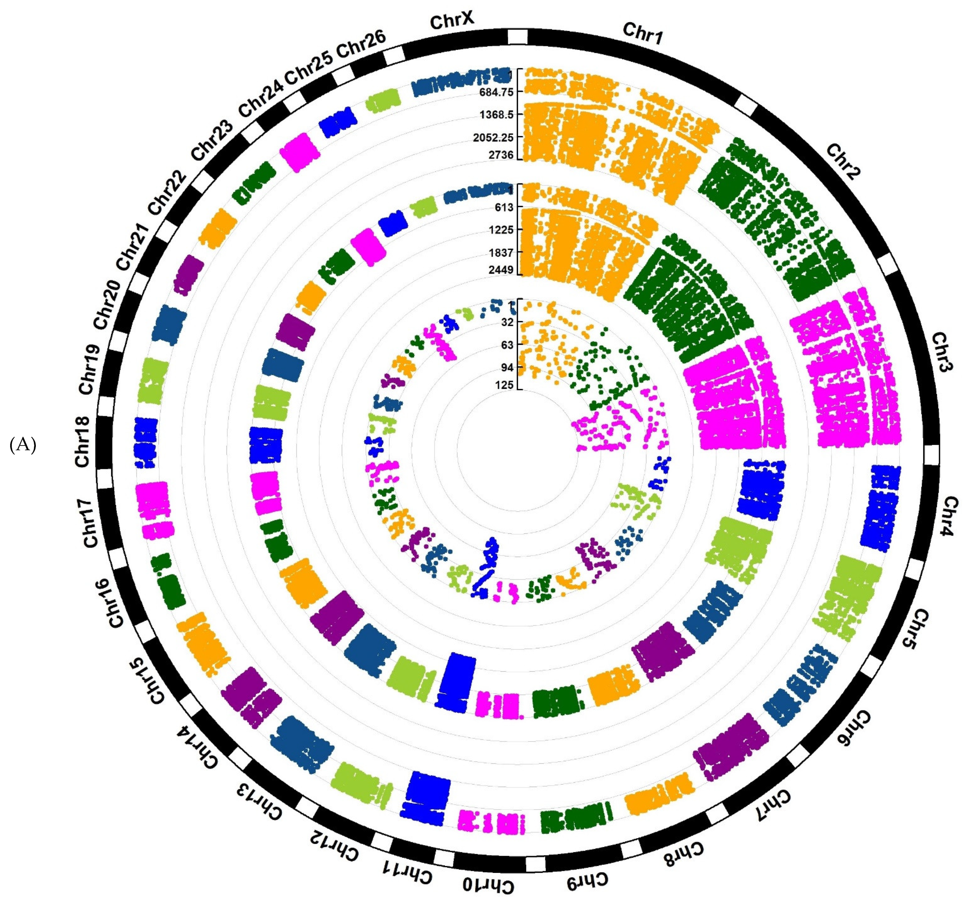 Animals 12 03592 g002a