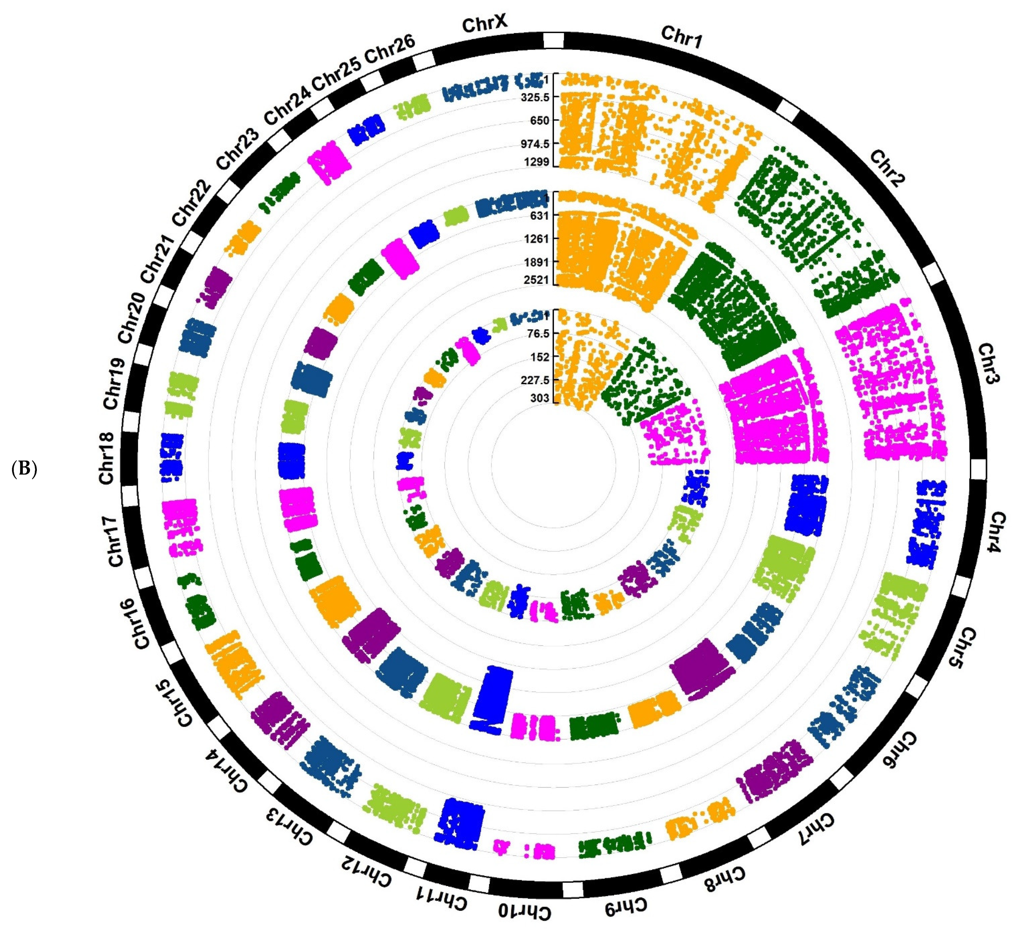 Animals 12 03592 g002b