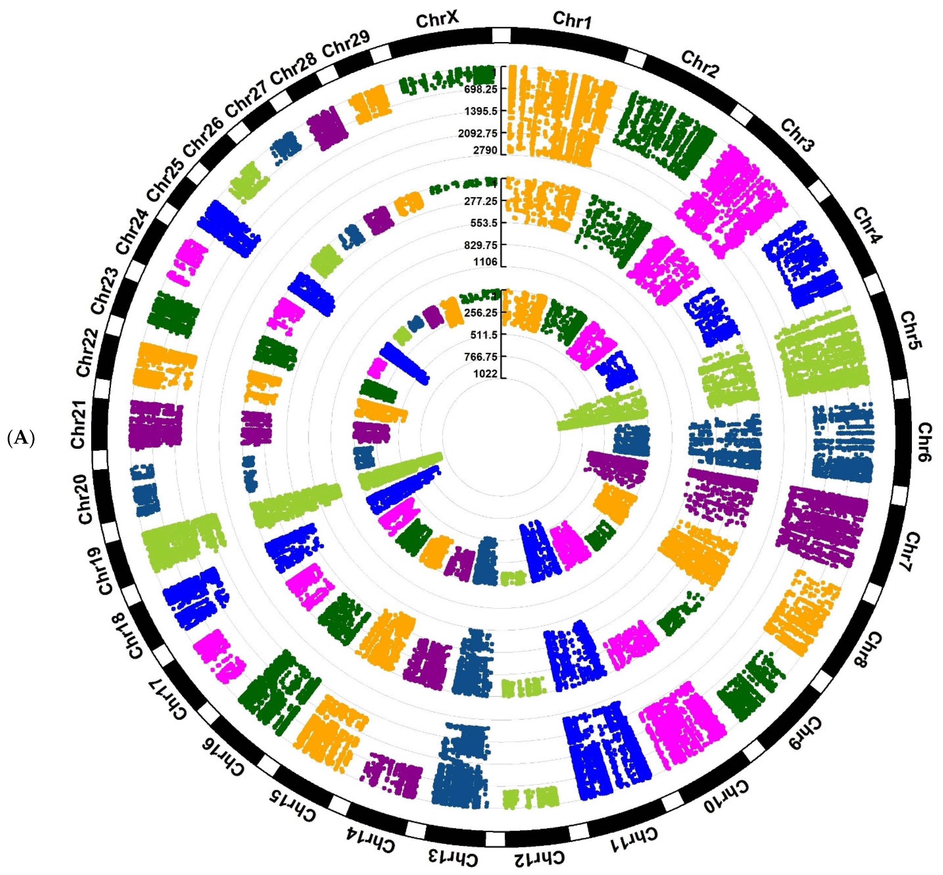 Animals 12 03592 g003a