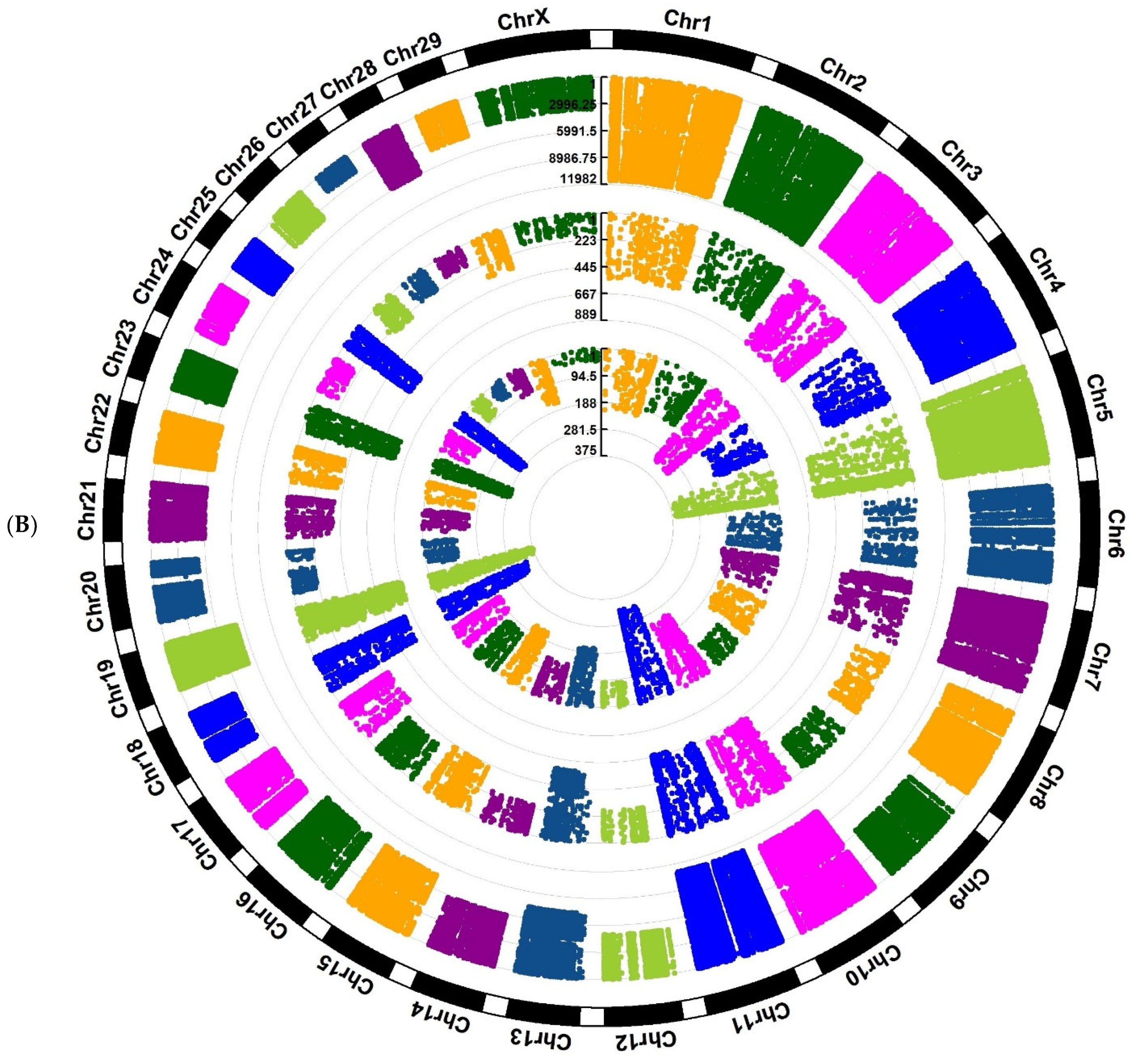 Animals 12 03592 g003b