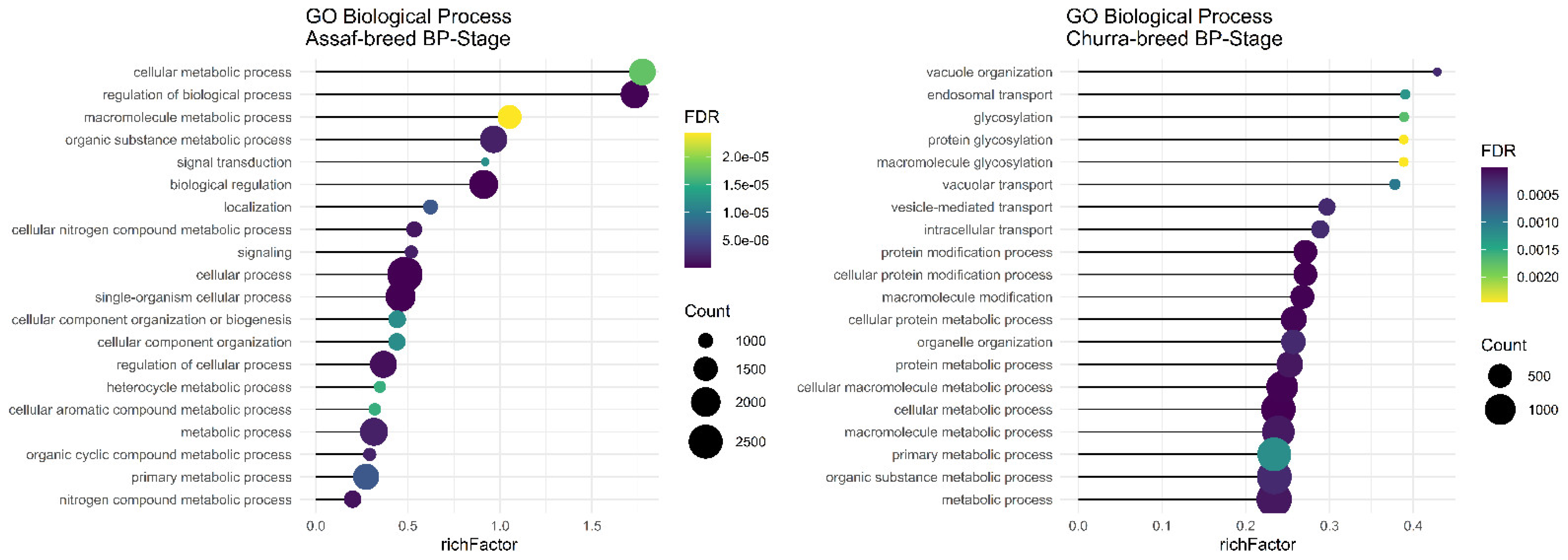 Animals 12 03592 g004