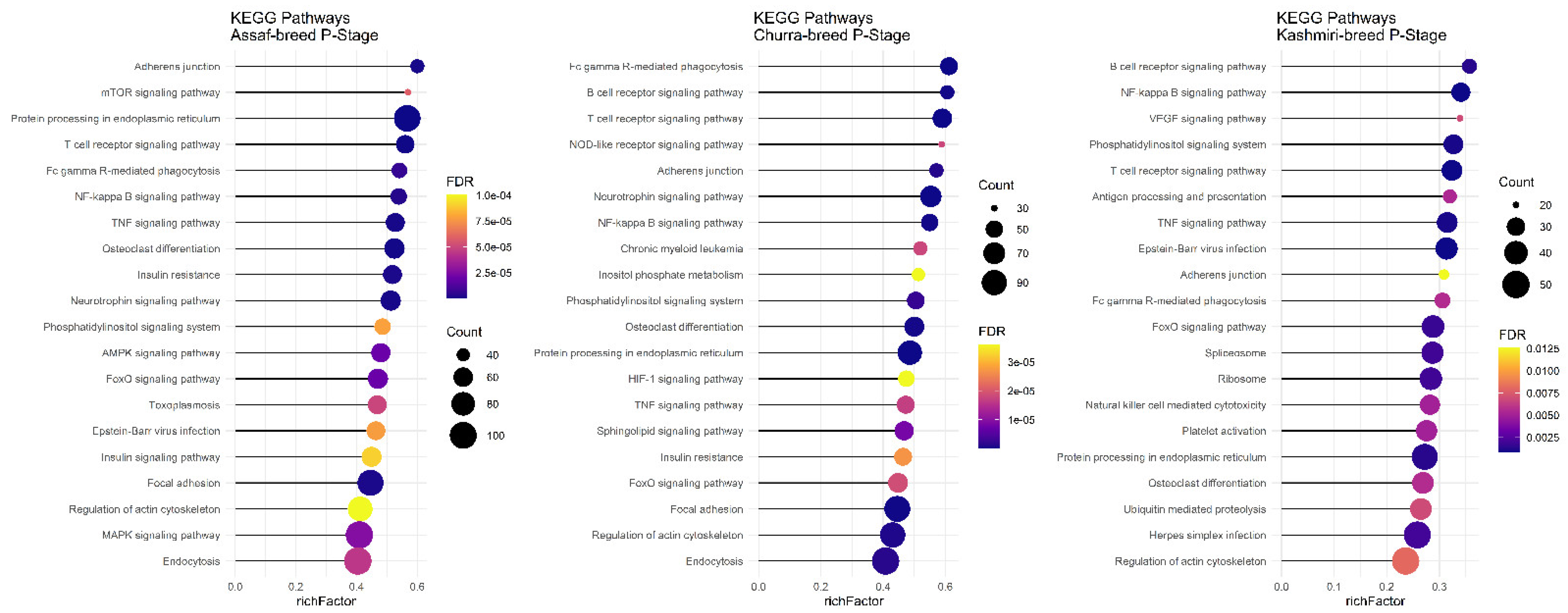 Animals 12 03592 g008