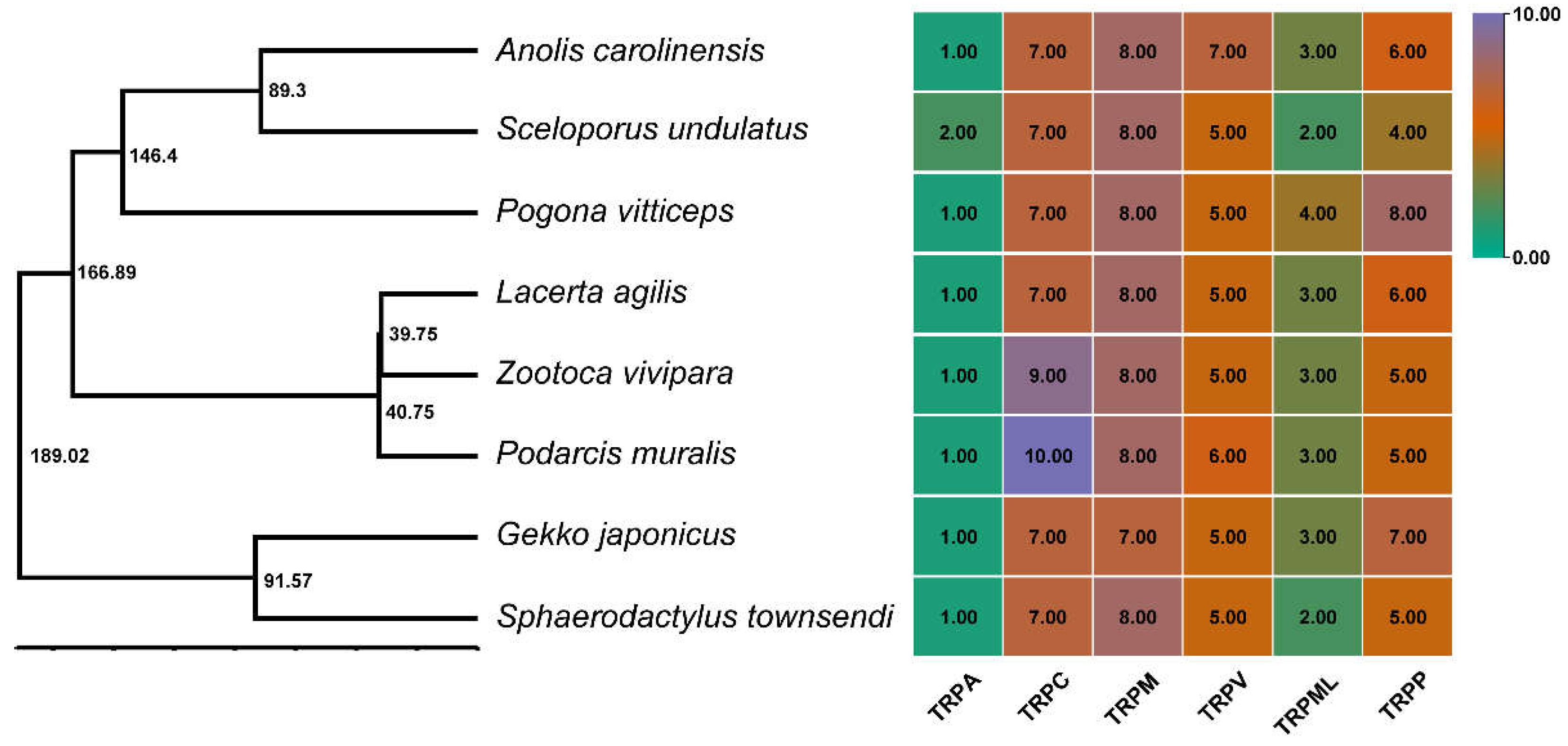 Animals 12 03593 g001 Animals 12 03593 g001