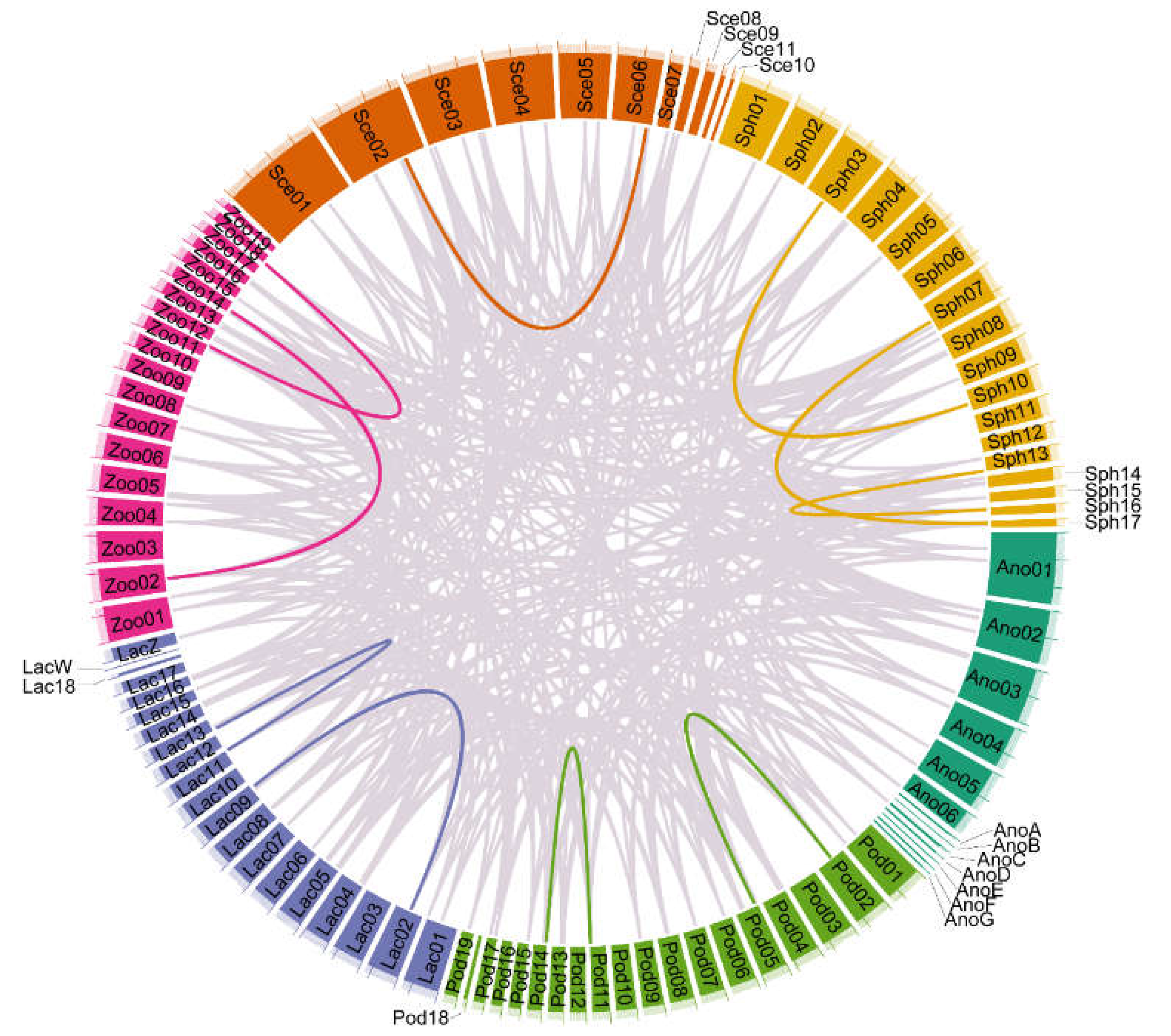 Animals 12 03593 g004 Animals 12 03593 g004
