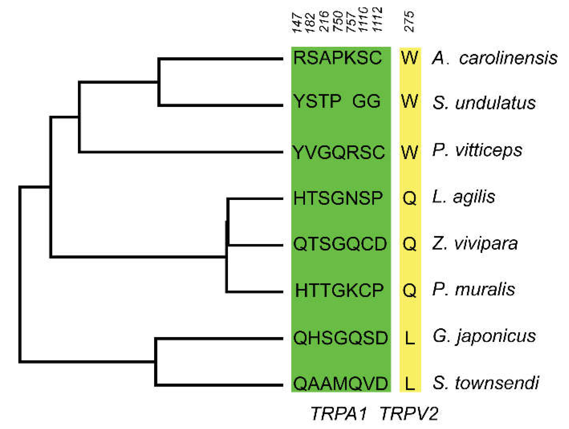 Animals 12 03593 g005 Animals 12 03593 g005