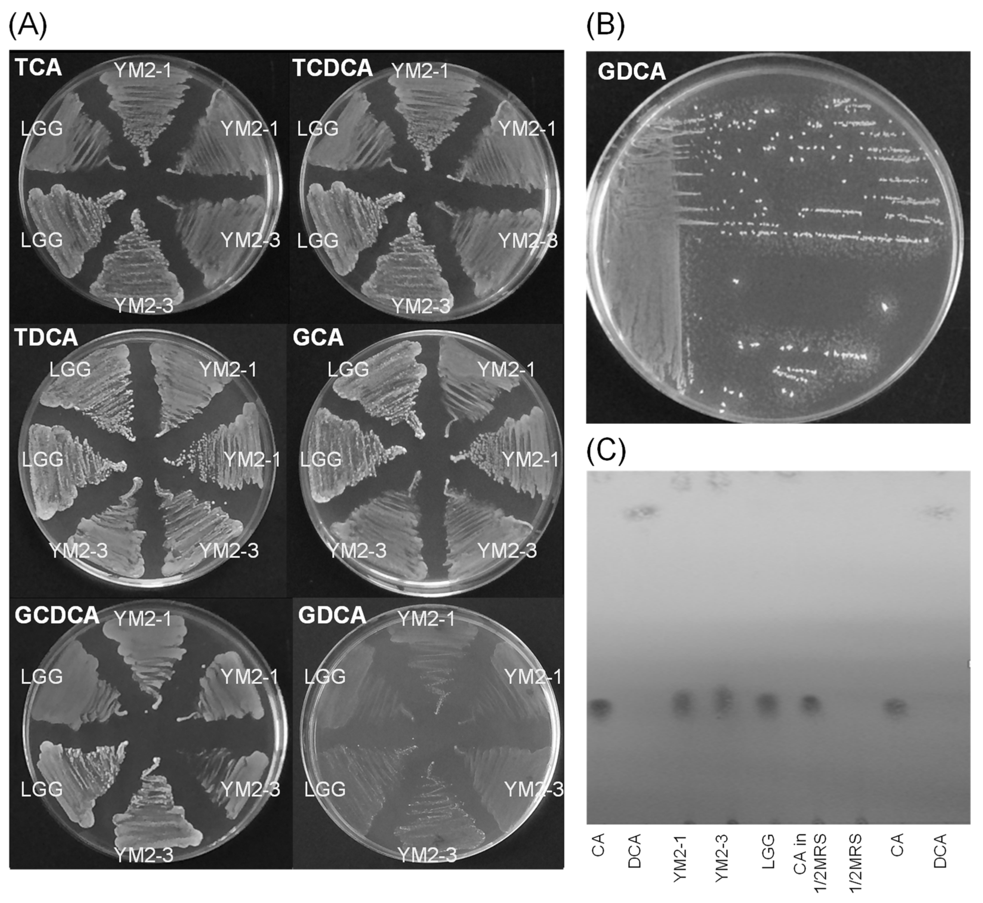 Animals 13 00007 g003 Animals 13 00007 g003