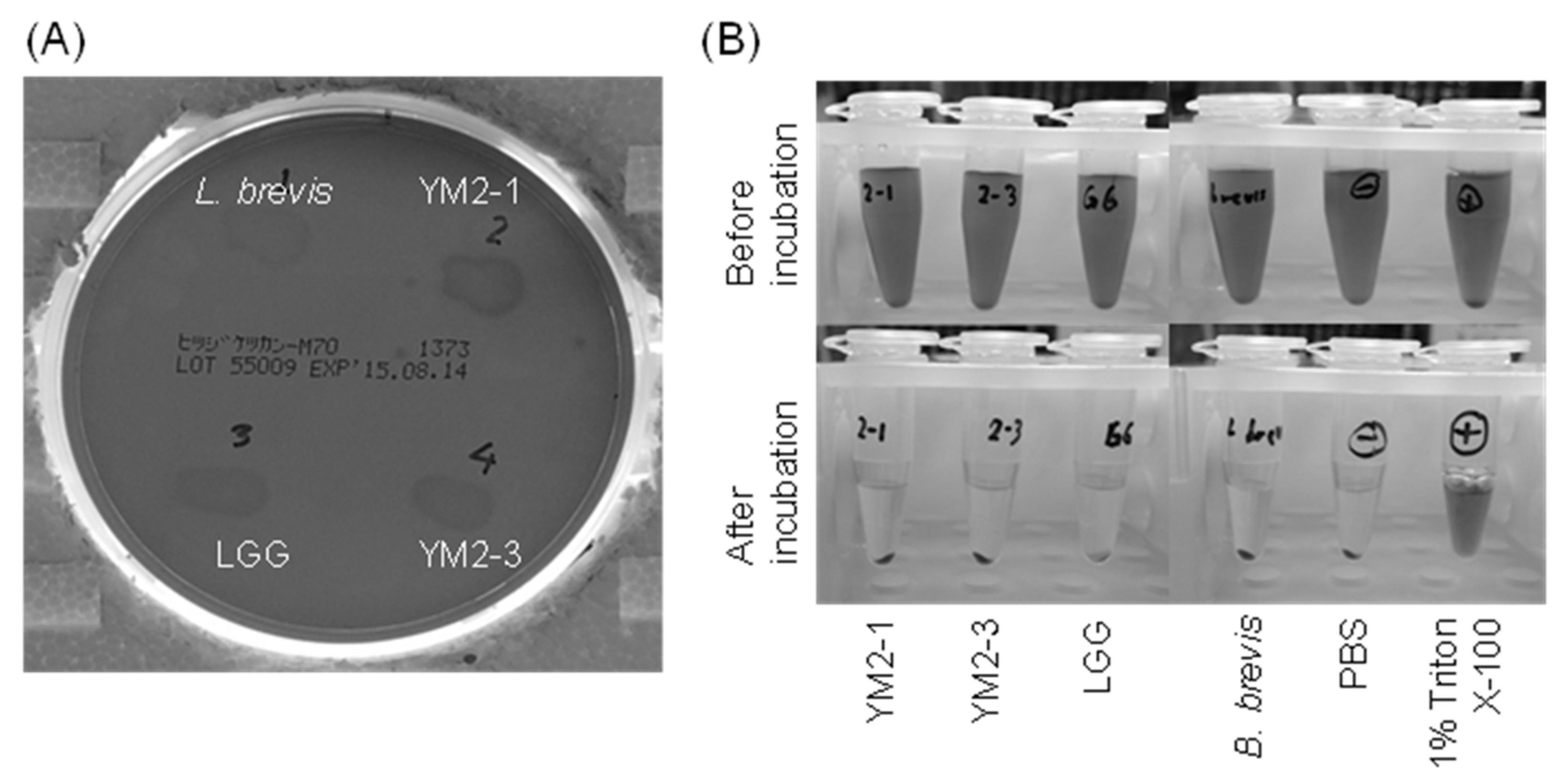 Animals 13 00007 g006 Animals 13 00007 g006