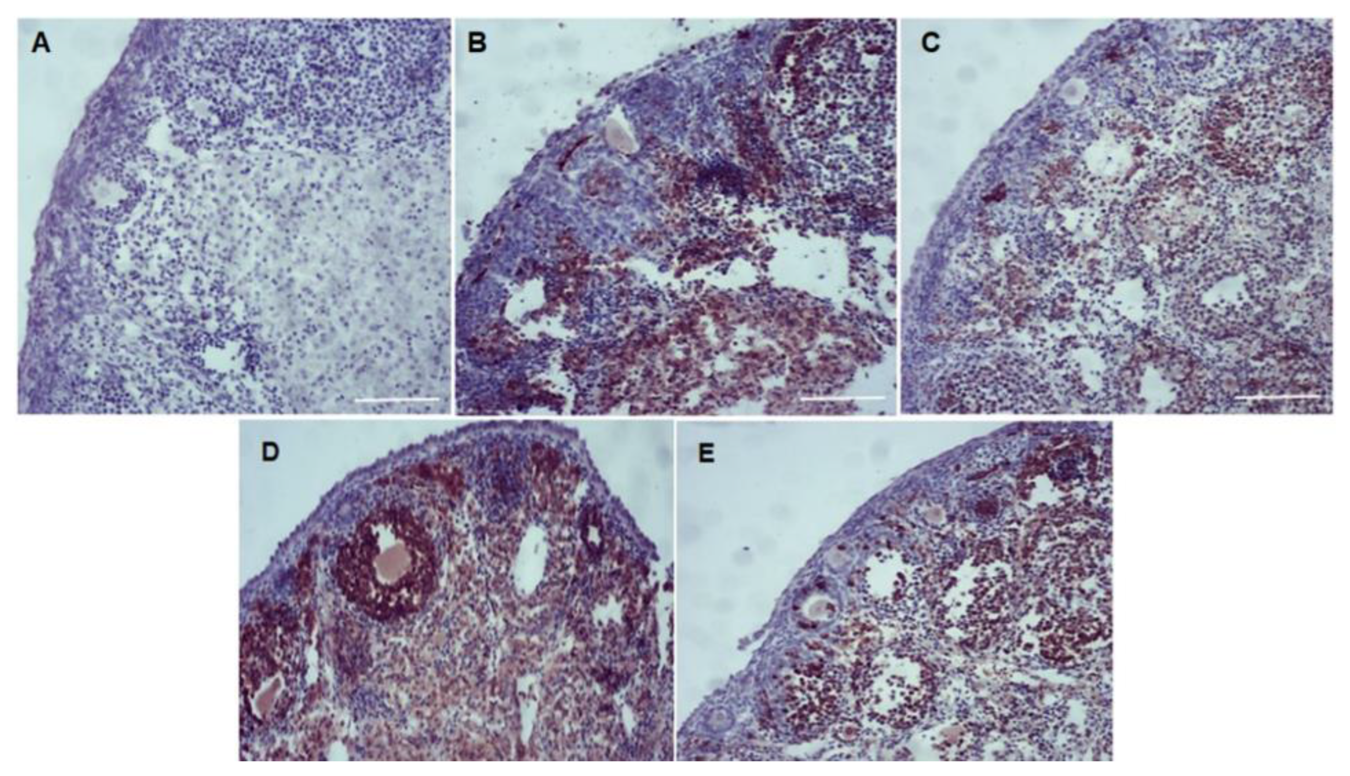 Animals 13 00018 g007