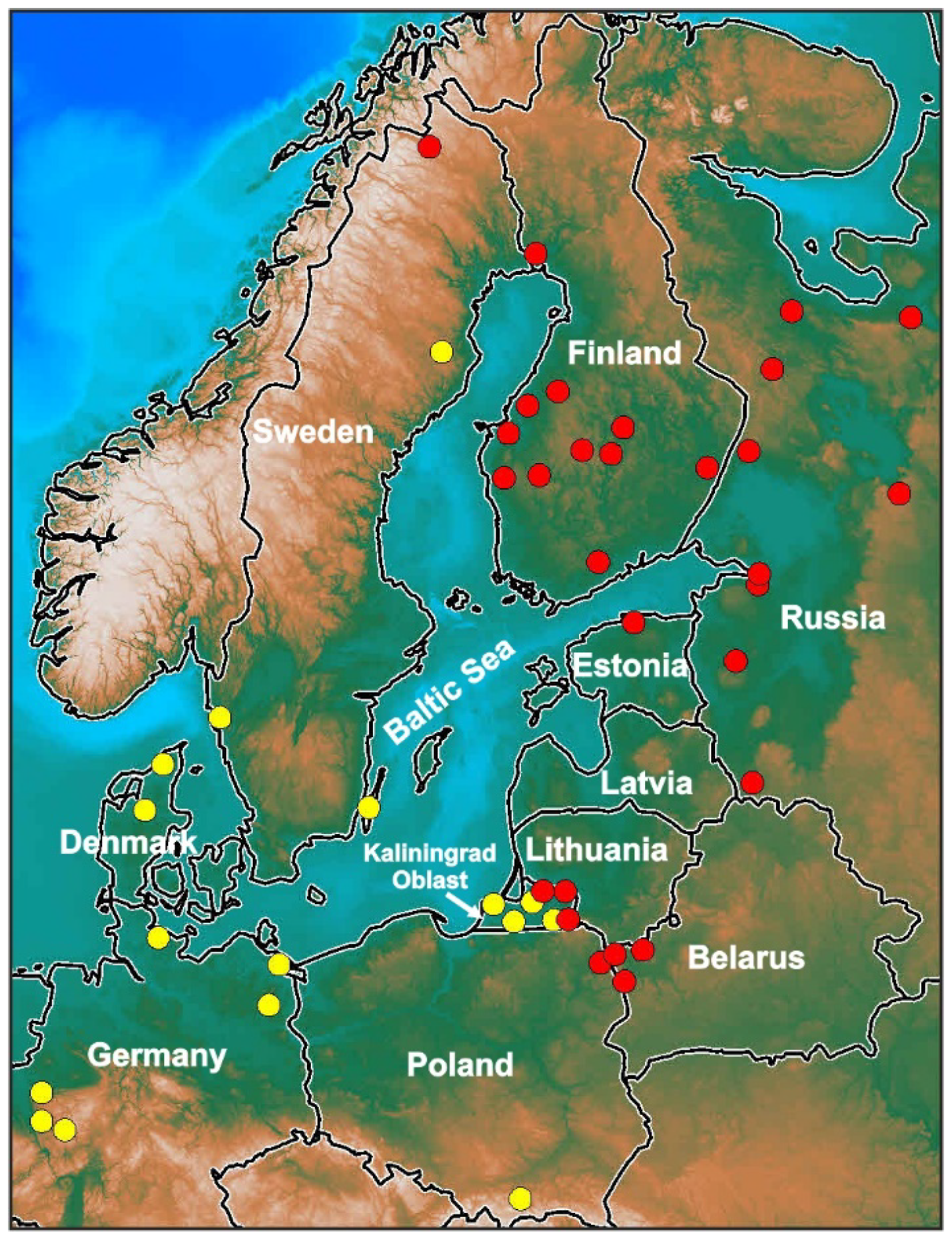 Animals 13 00019 g001