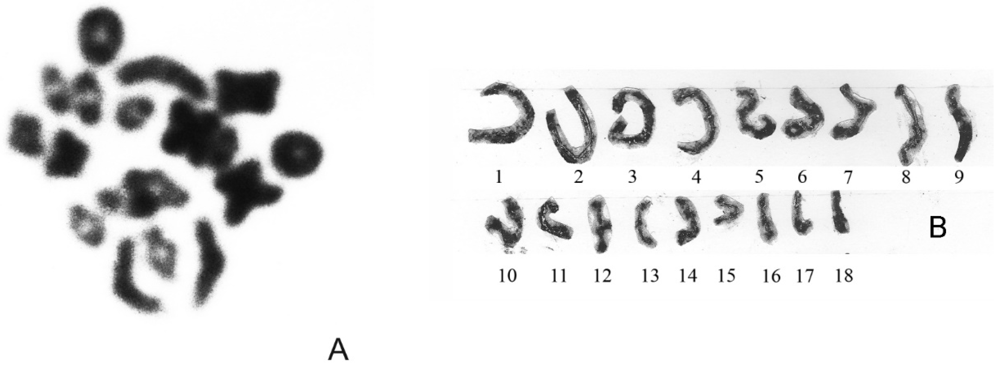 Animals 13 00019 g002